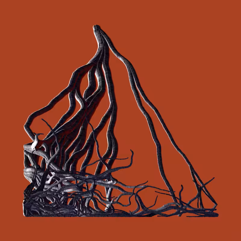 Root #86