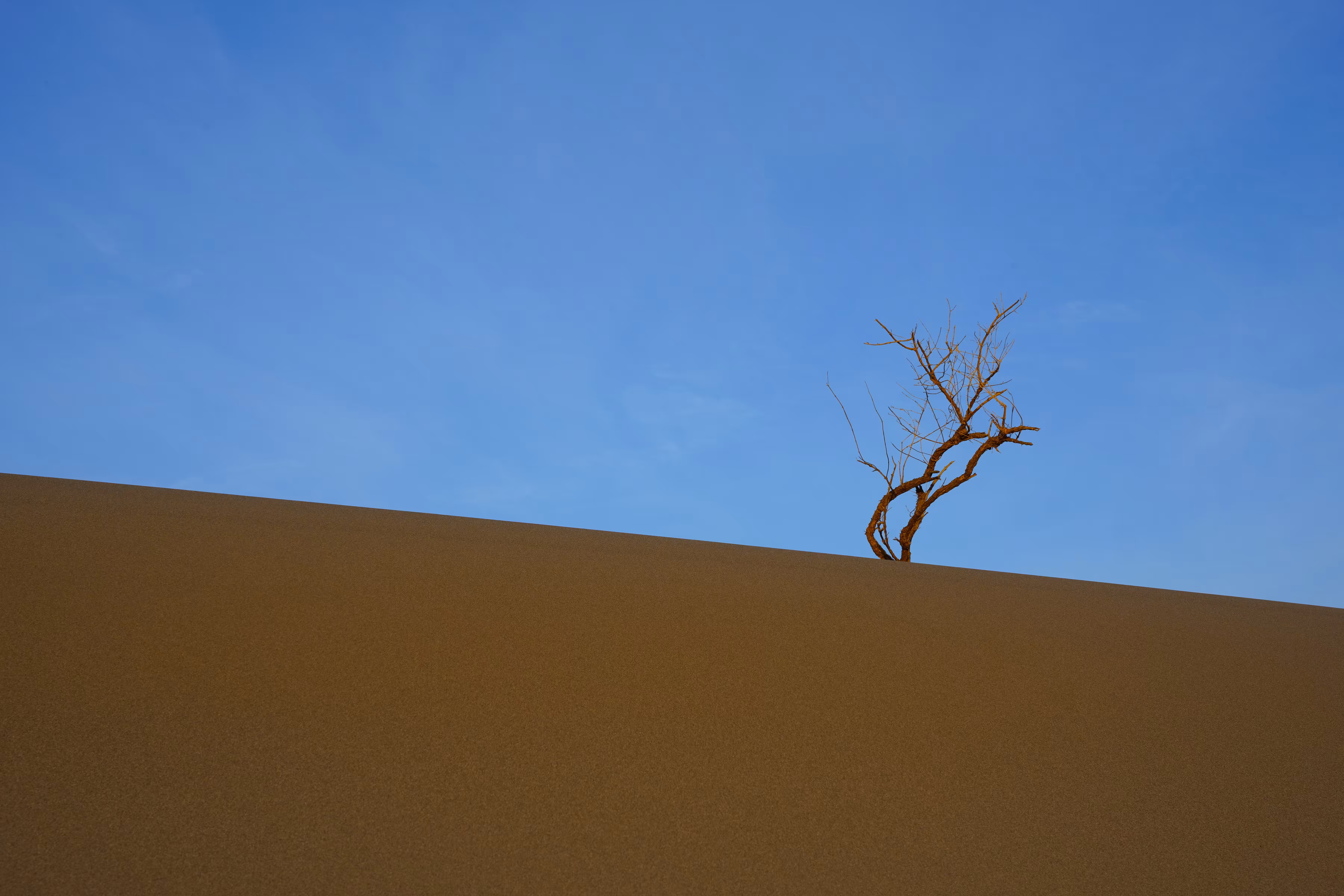 standing alone