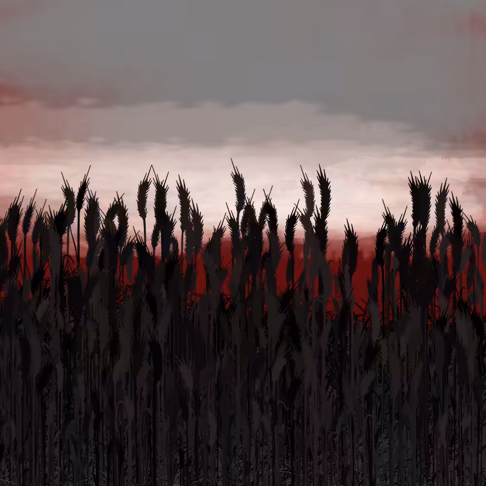 Walk in the field #21