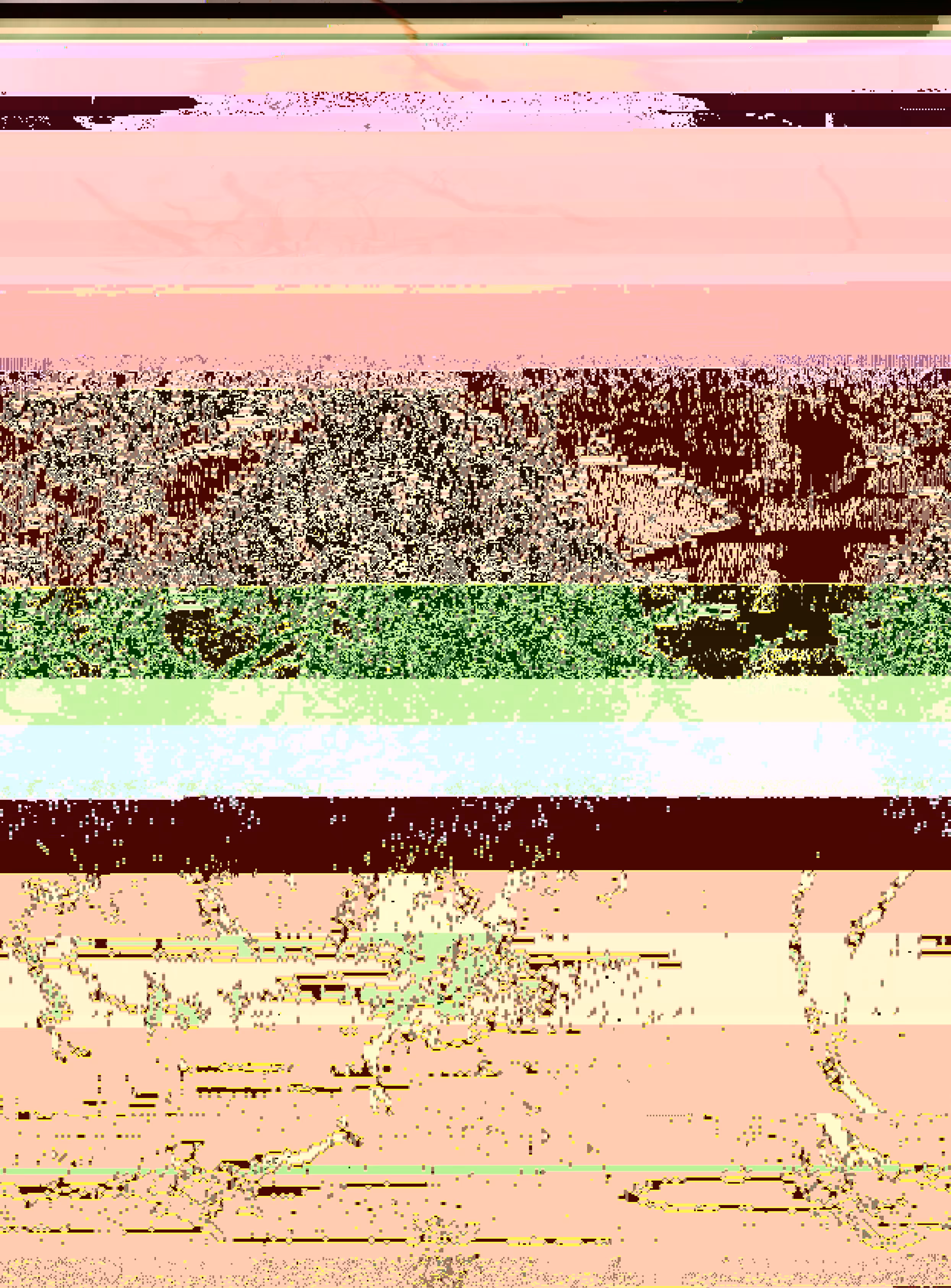 Blorgg Honklorph Malfonxia g[4]