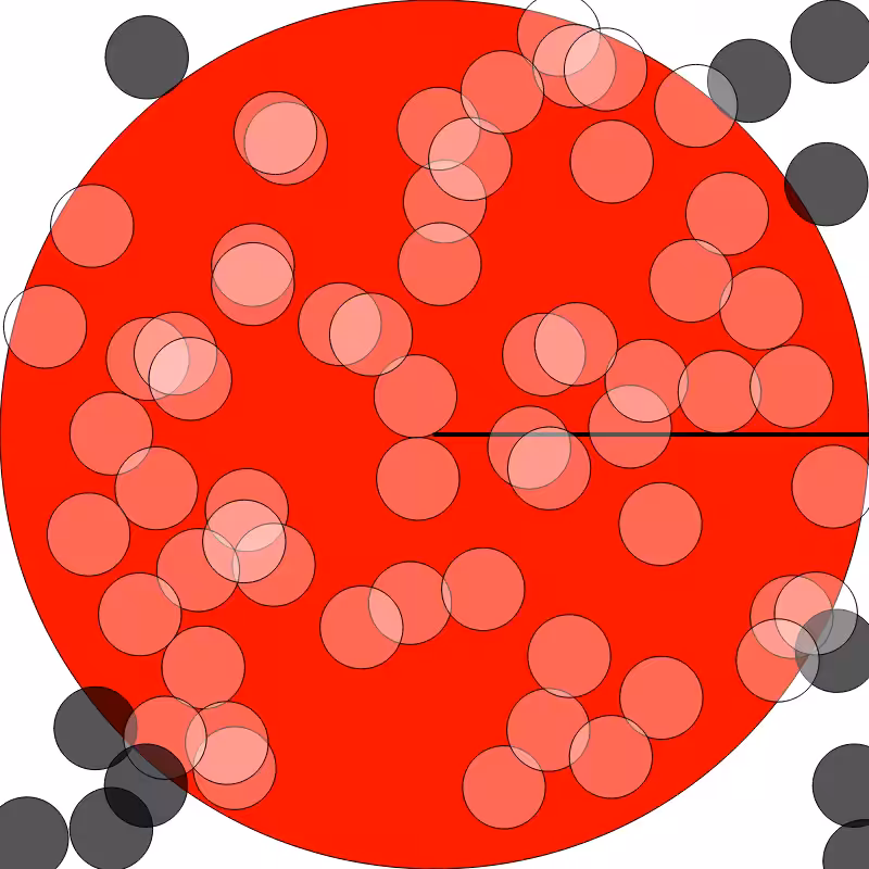 (π) #6