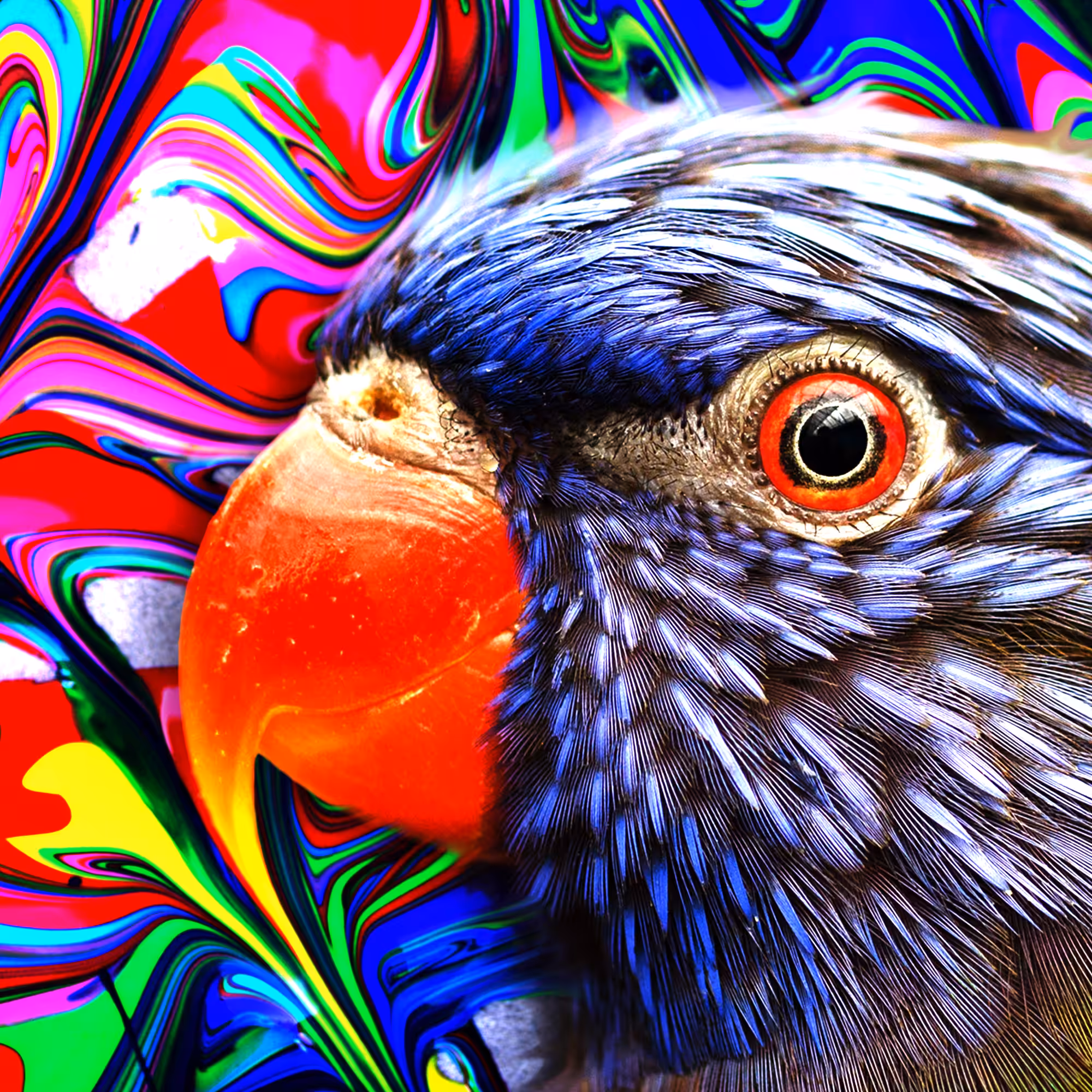 Swirly Bird