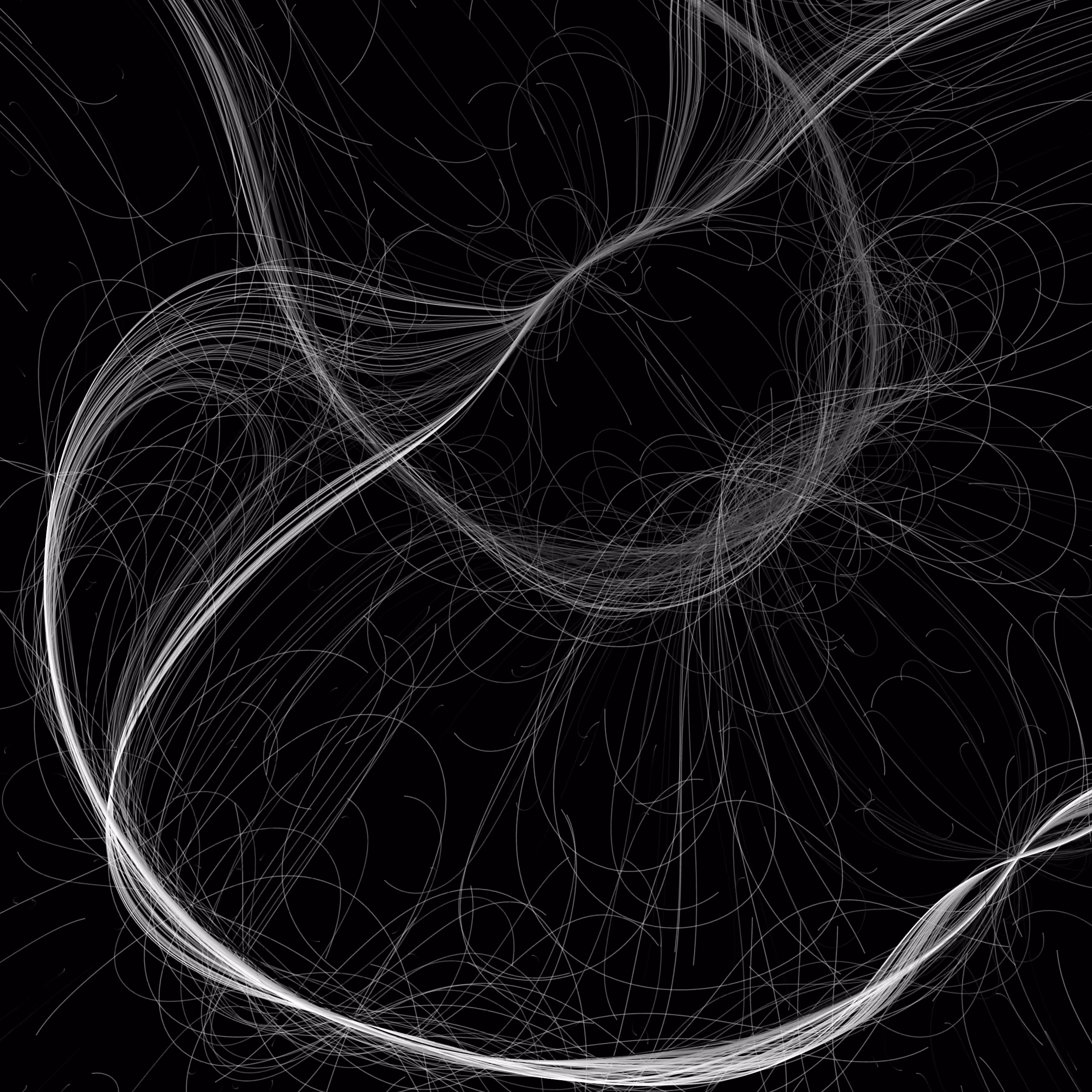 Phototaxis #226
