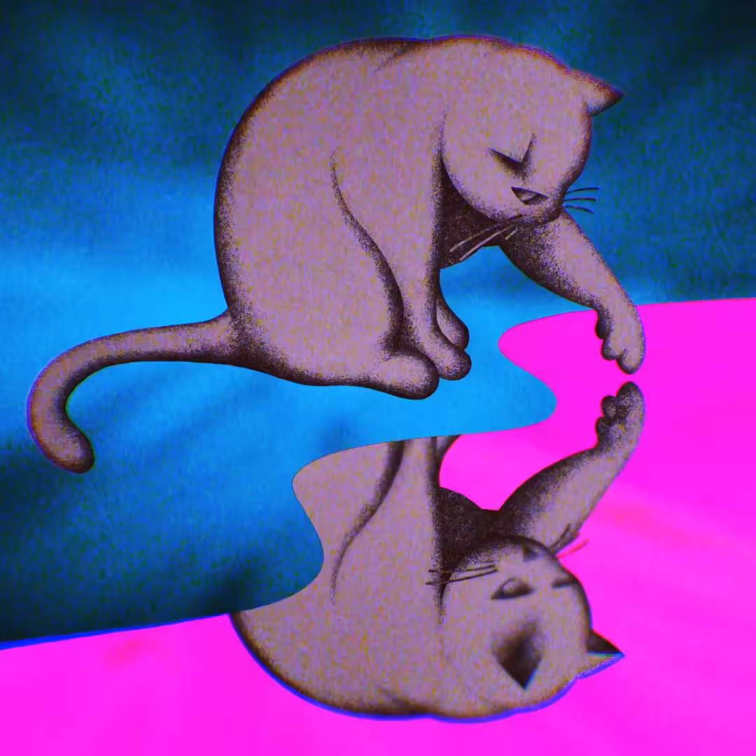 Electric Catnip: Reflecting