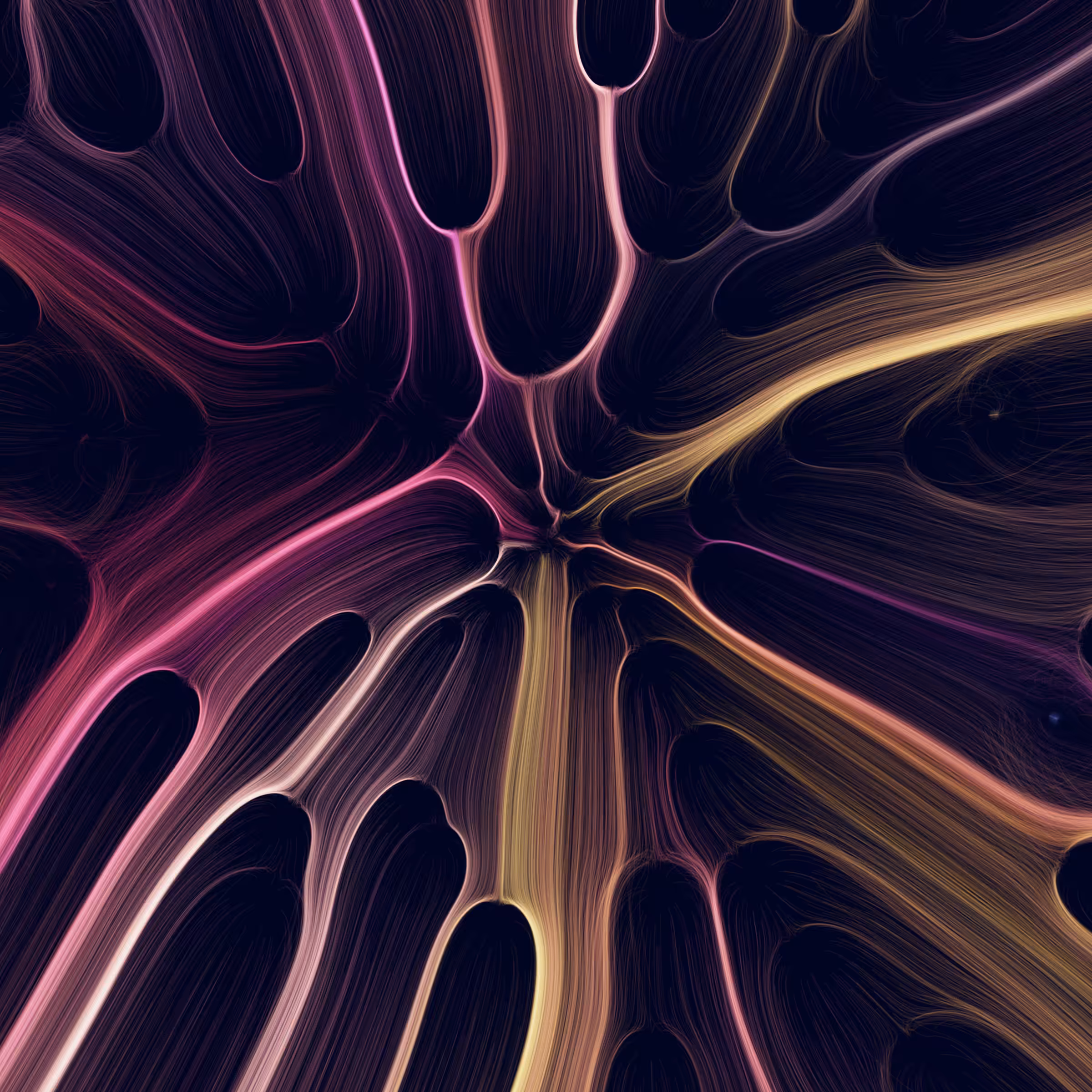 Gravity 16 #442