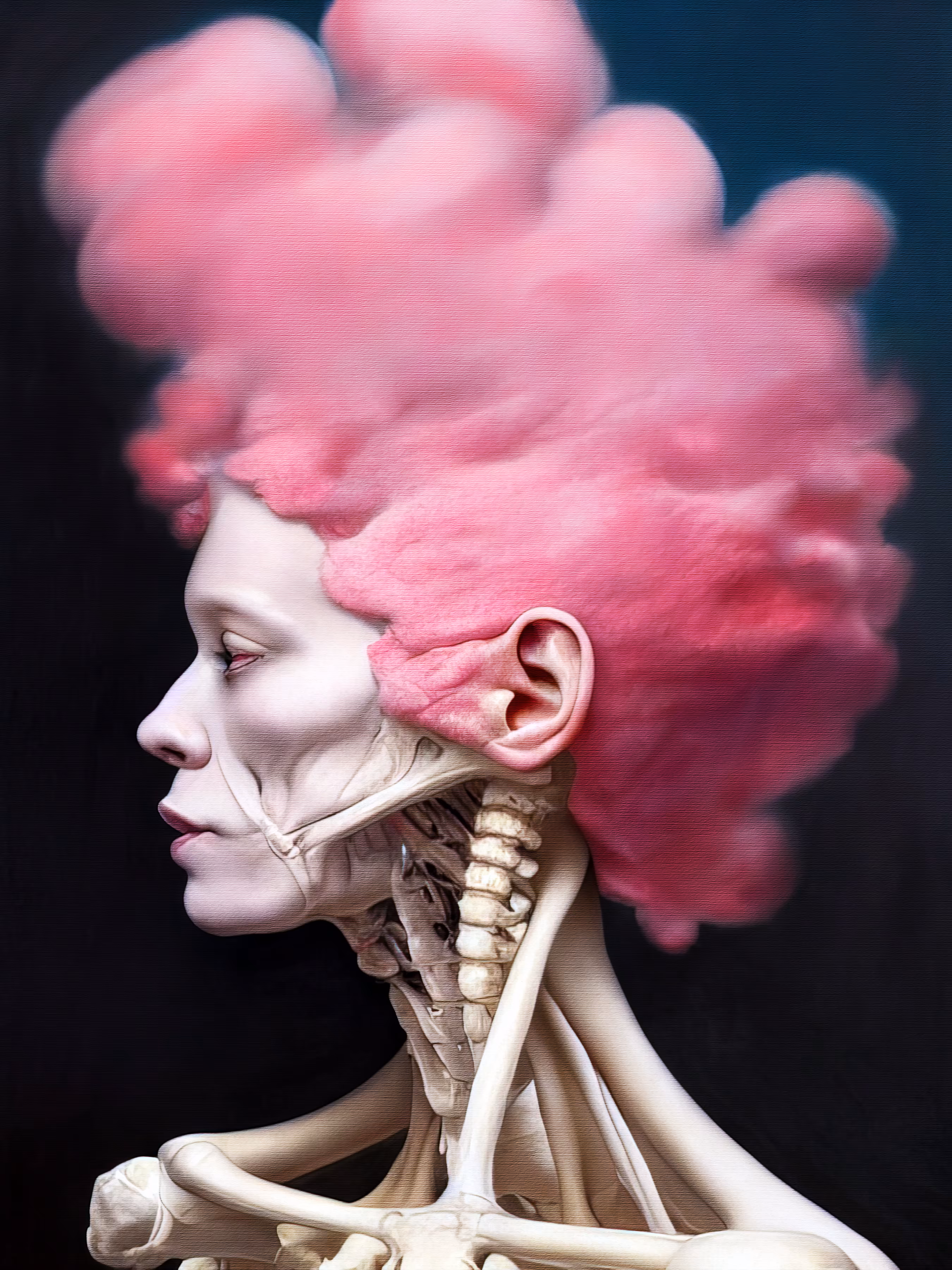 Anatomical Study 33.0