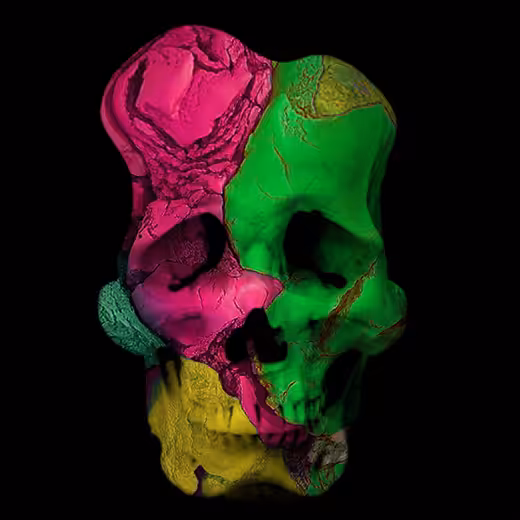 Skullian No.01