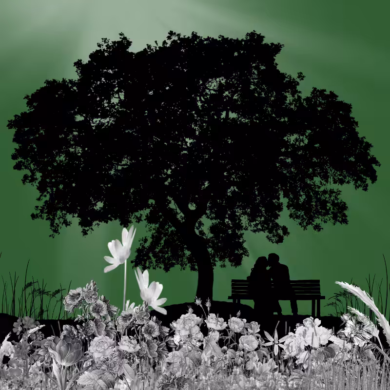 FXBWColor Garden #7