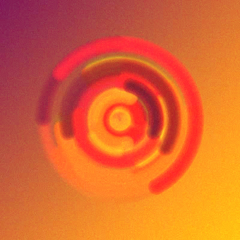 Wisp #964