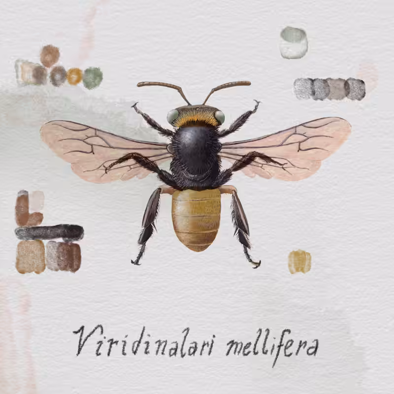 Randomic Brazilian Bees  #5