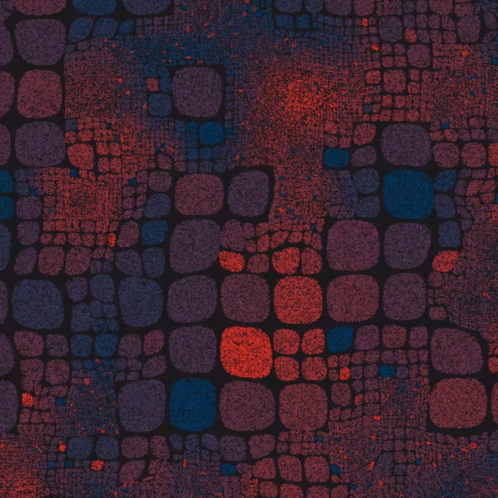 warpGrid #35