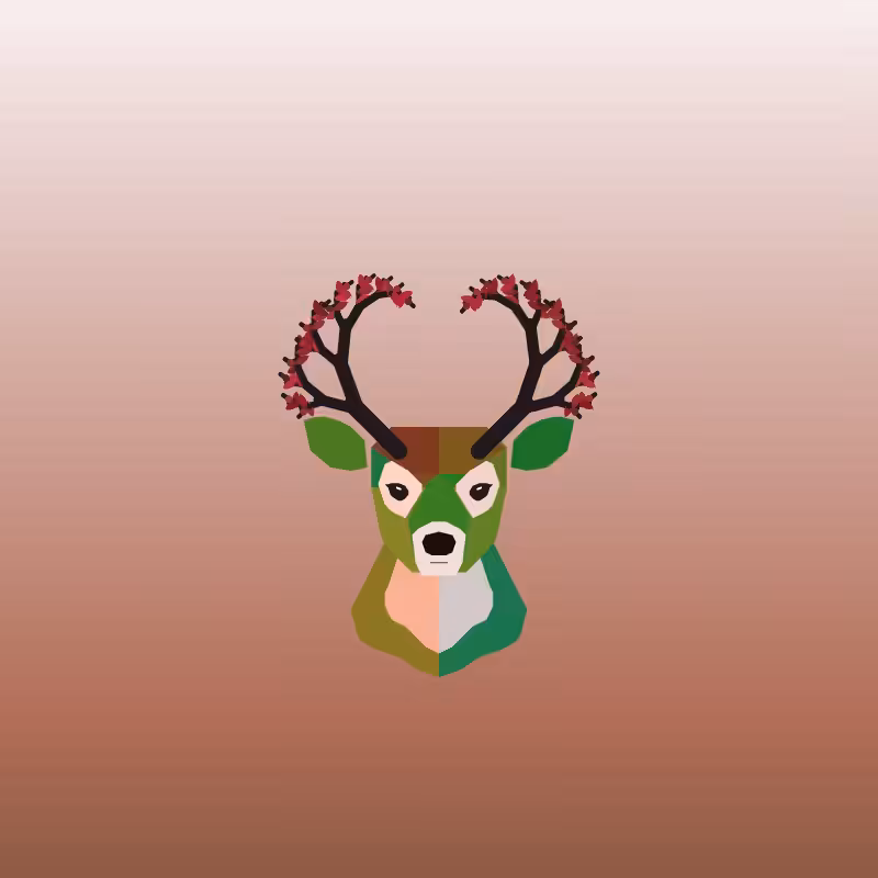 deerest hare #8