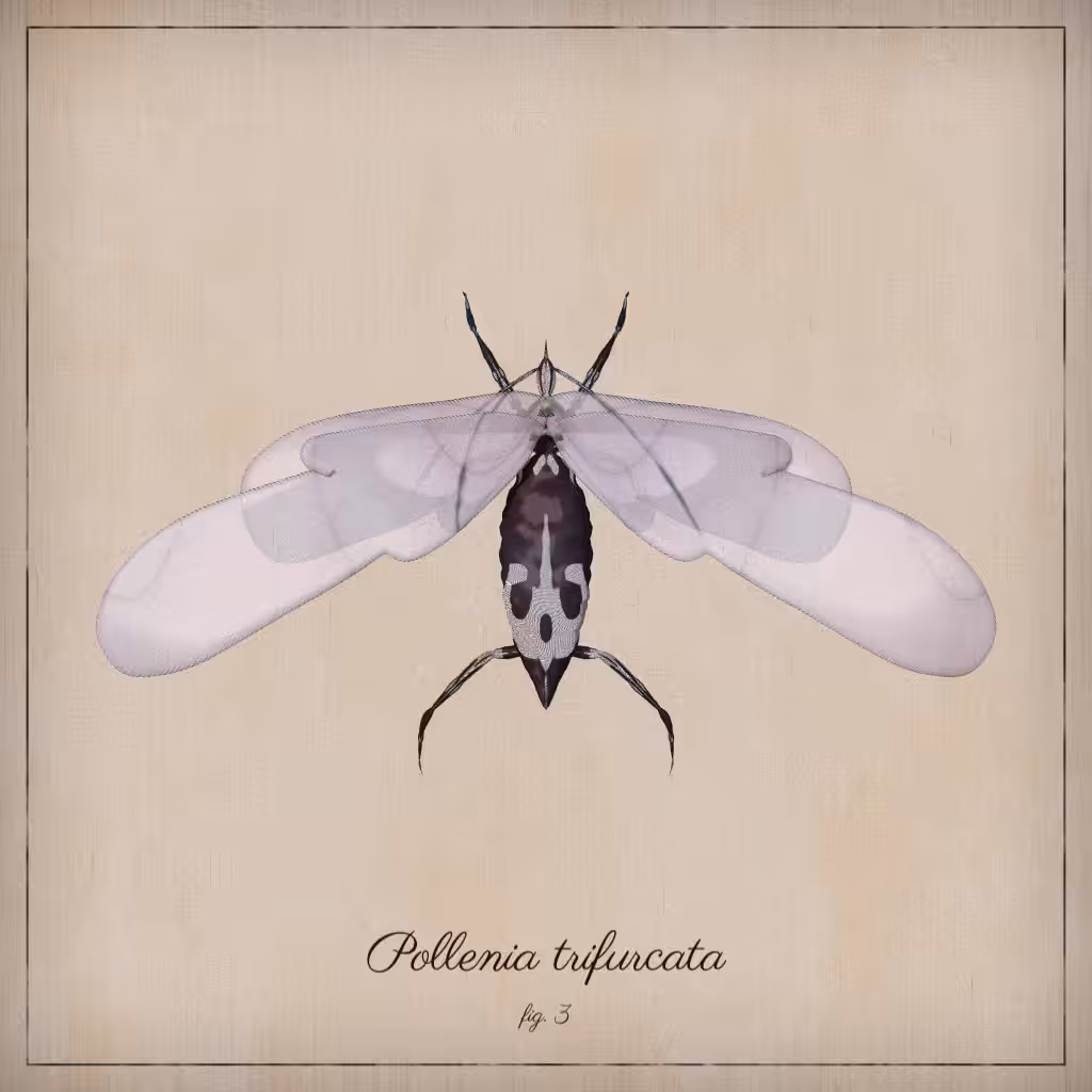 ProcGen Entomology #304