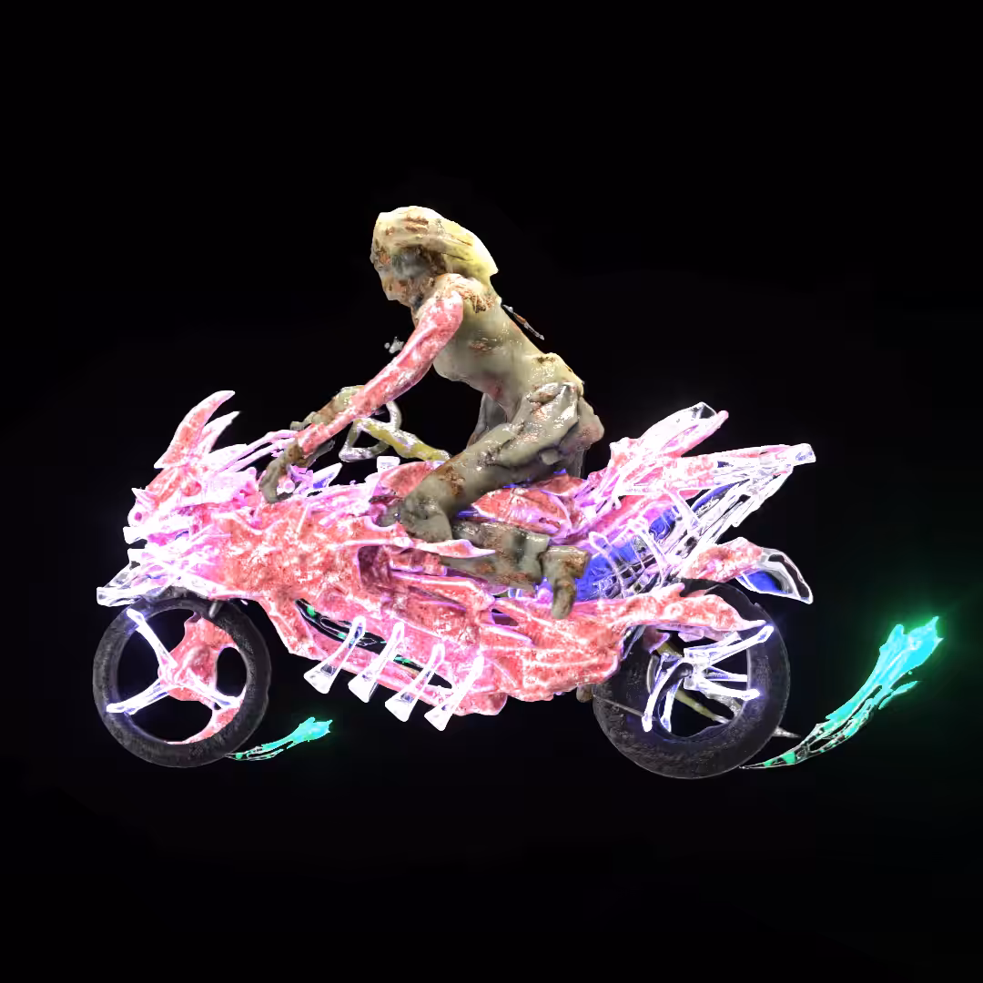 Flesh Bikes #006