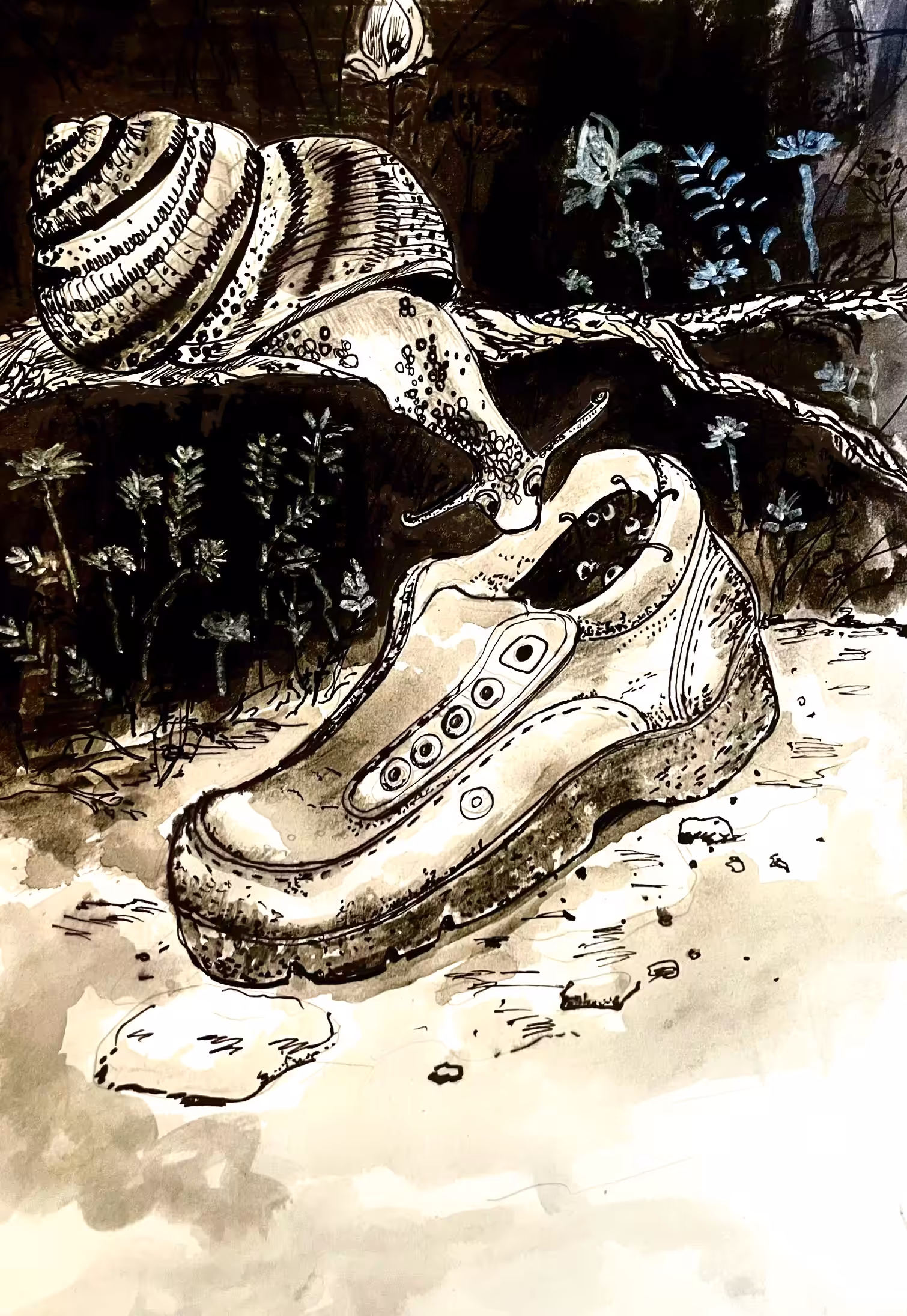 The shoe is someone's house! 