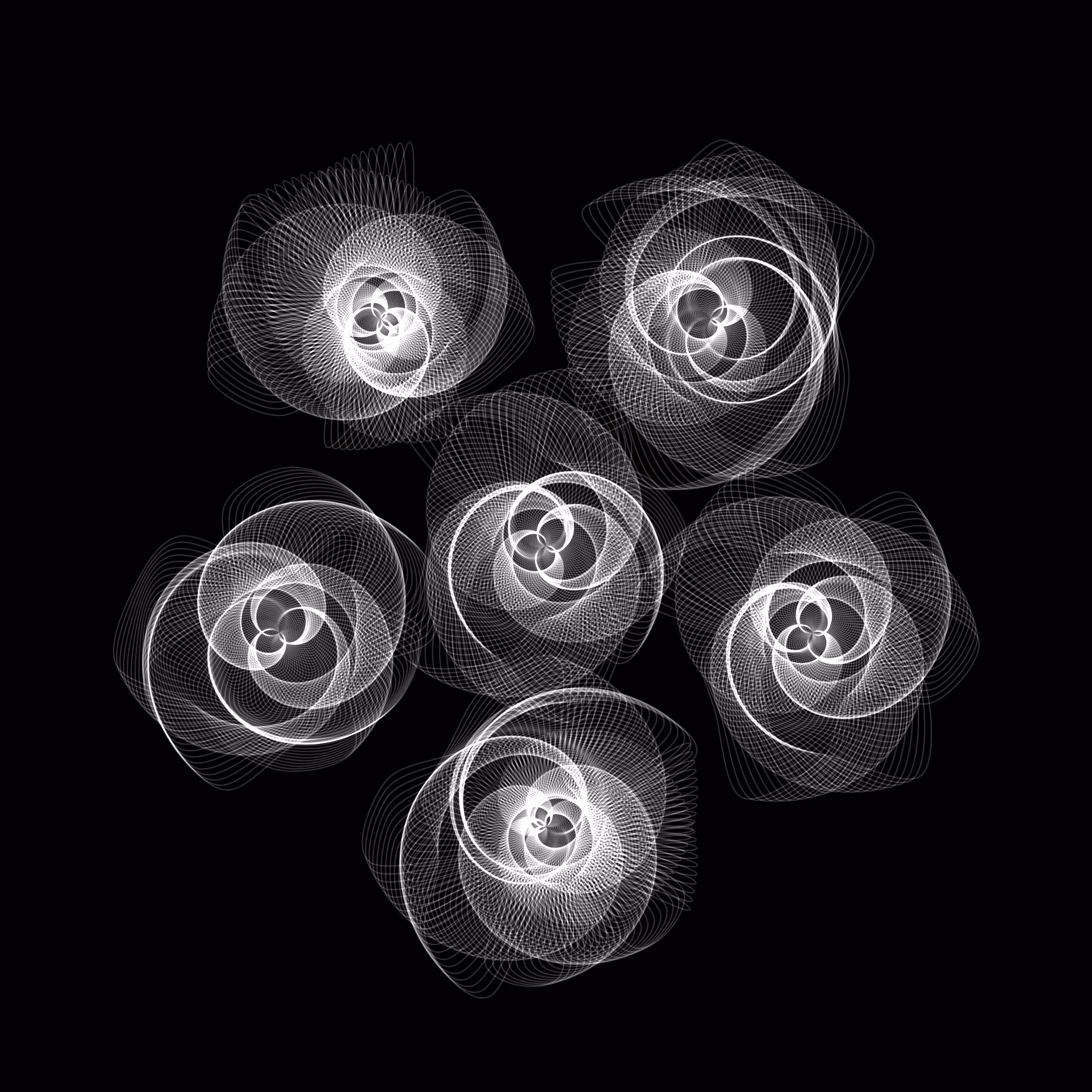 Flowers #1735