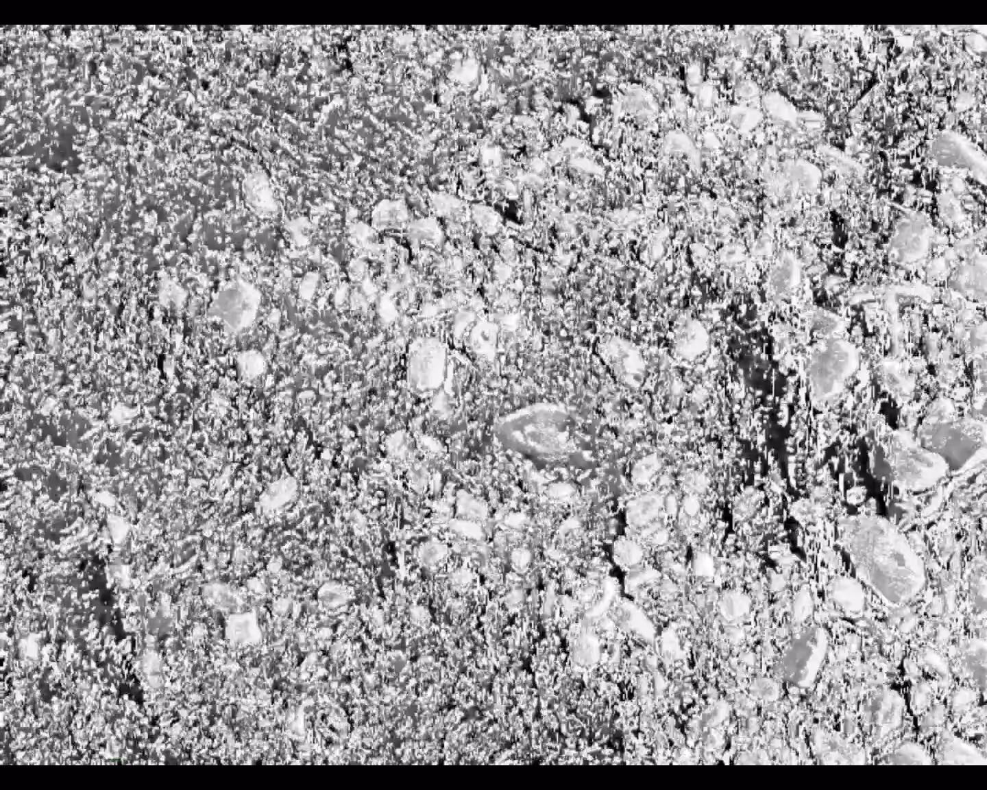 Fragment 05 / The structure of the skin of an unknown animal under a nuclear microscope