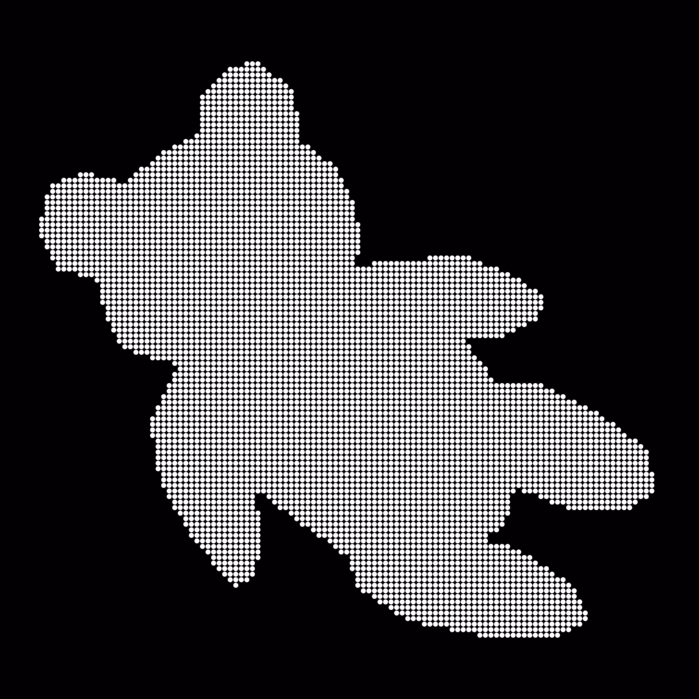 Caltech Studies (Braille): Panda 24