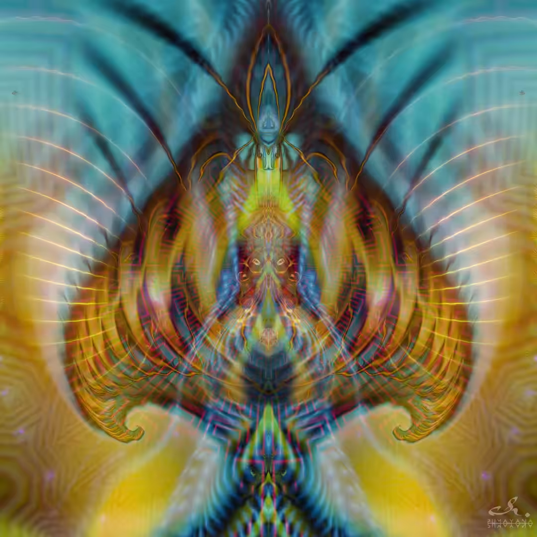 :: Mushbloom ::