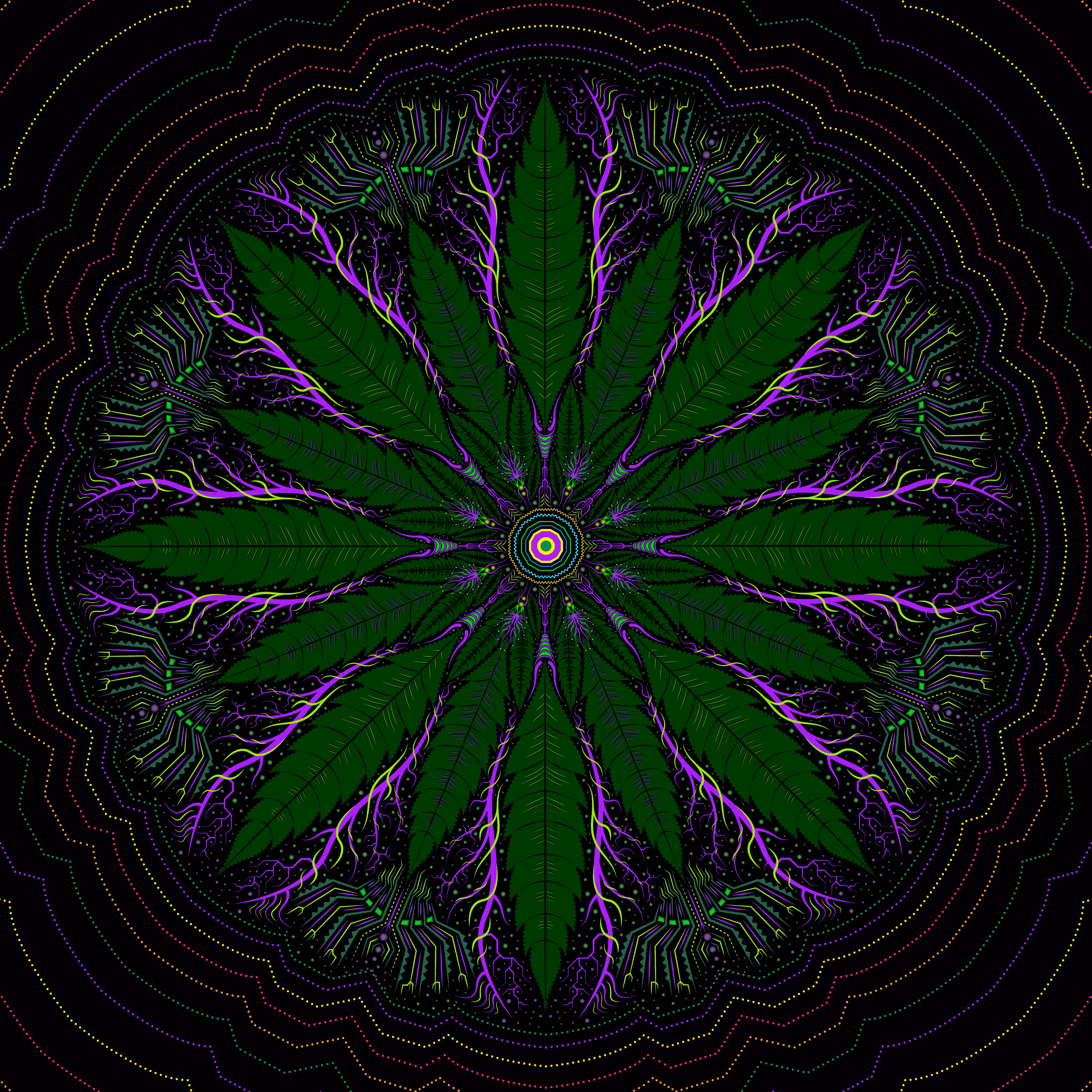 Cannabidala