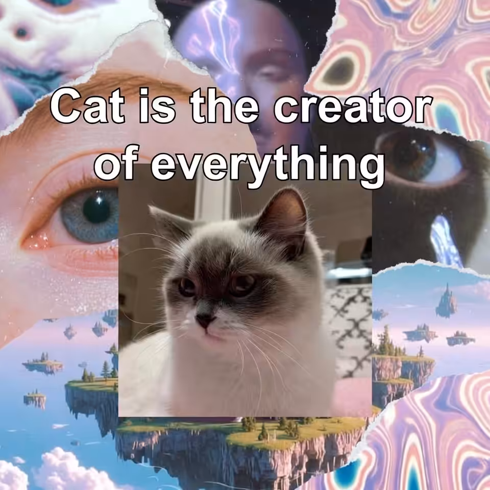 everything🐾
