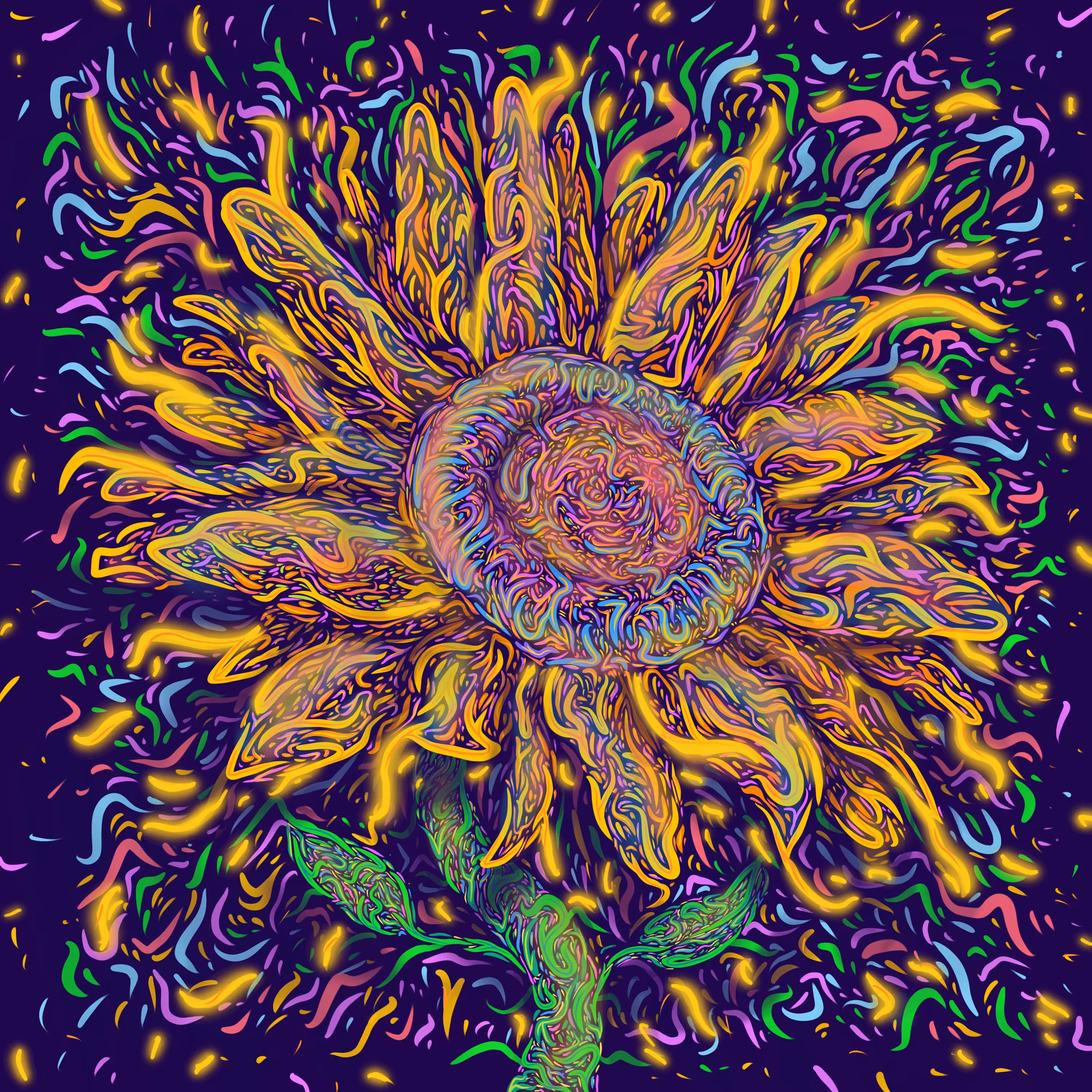 Sunflower! 1/1