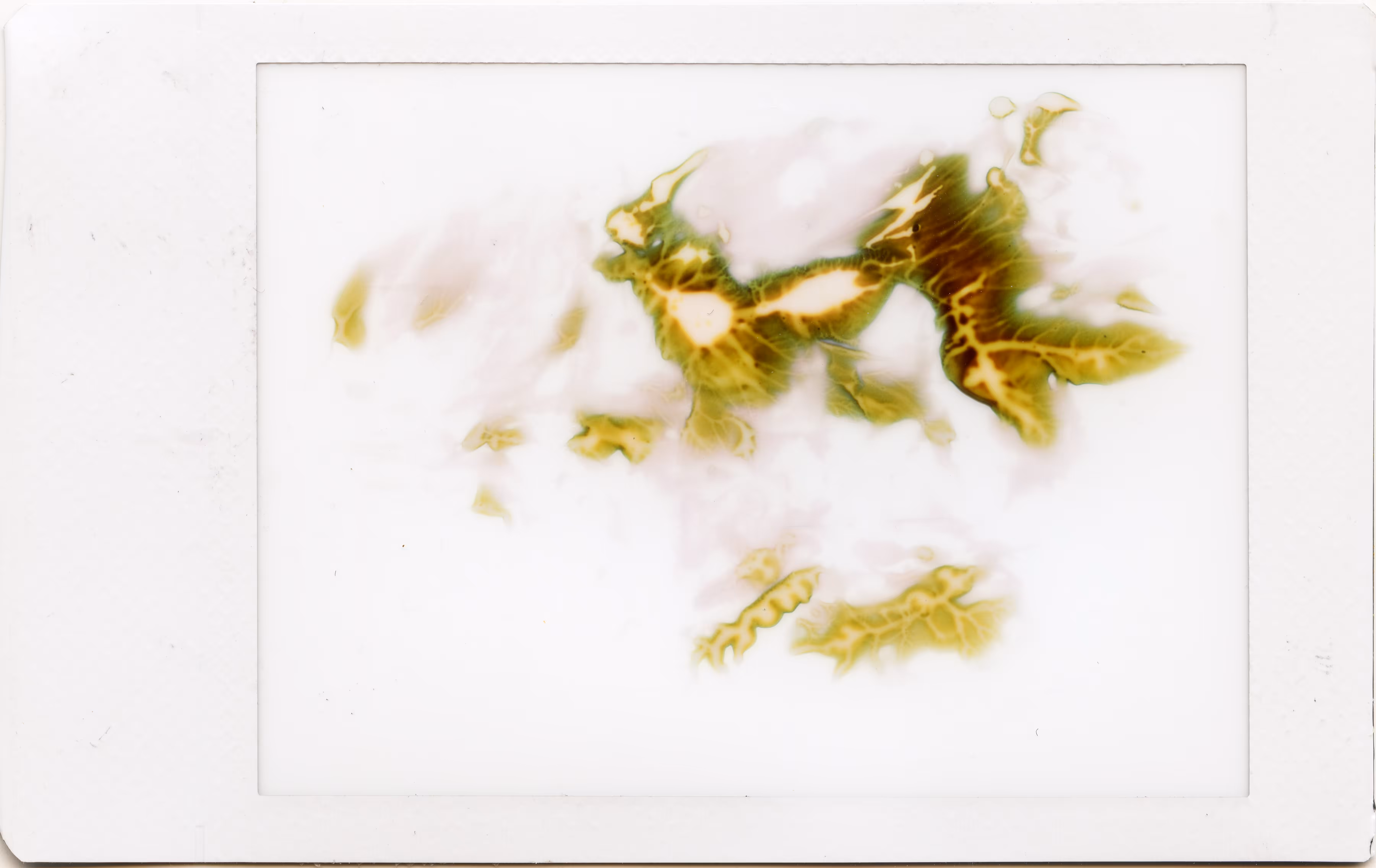 Polaroids #04