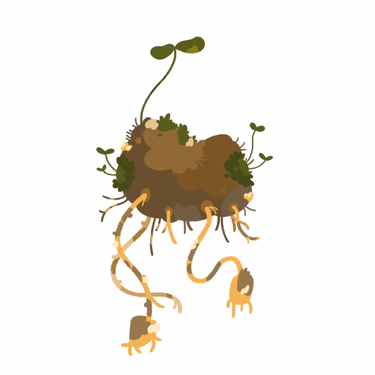 A Potato 1/10
