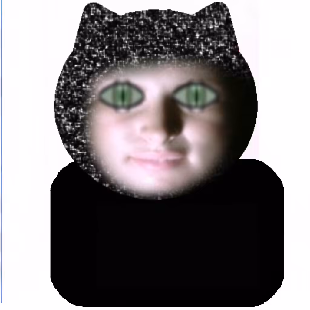 🐈