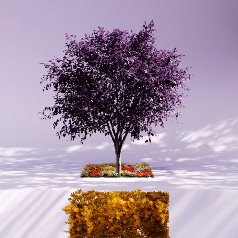 Nature rooms #22