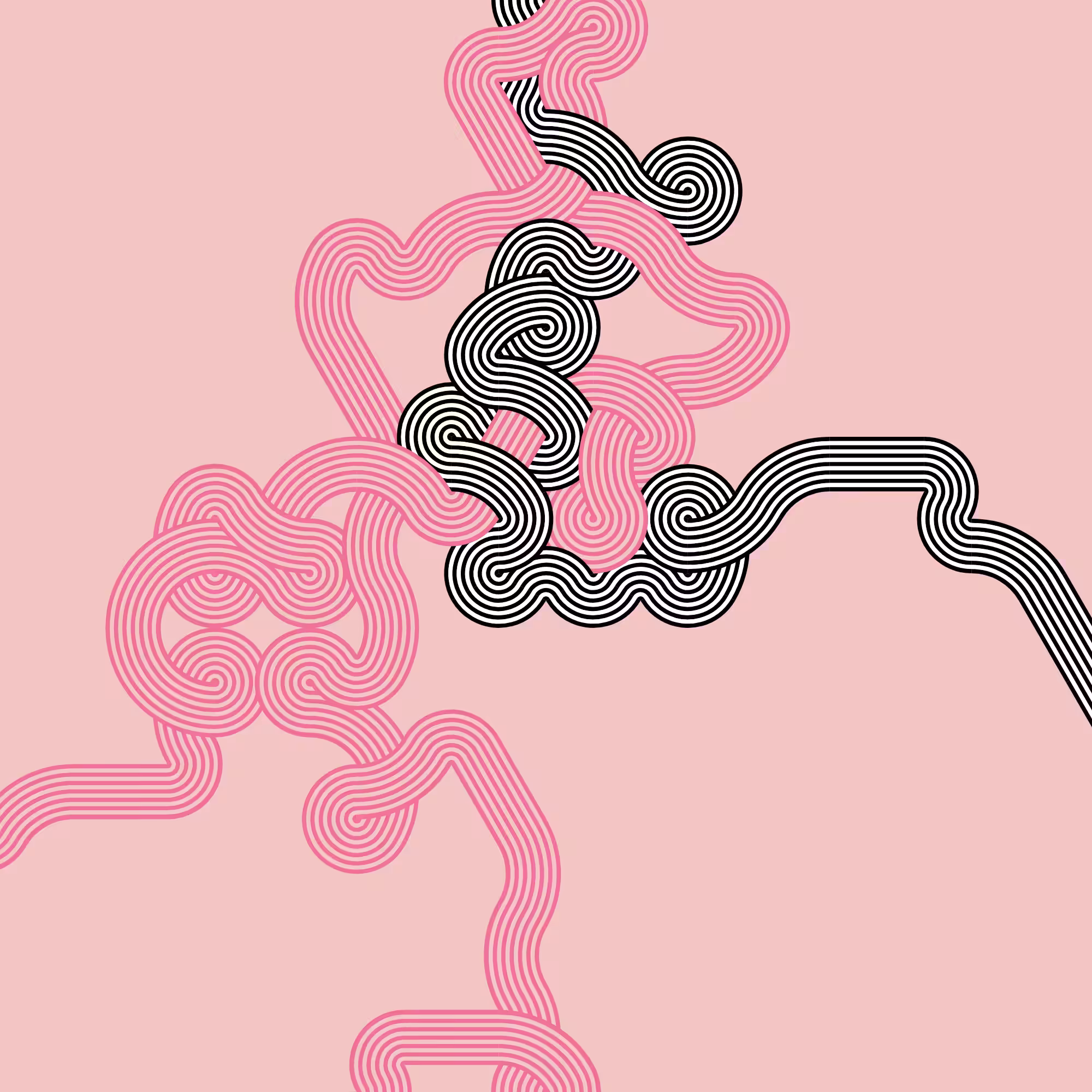 Wanderer #83