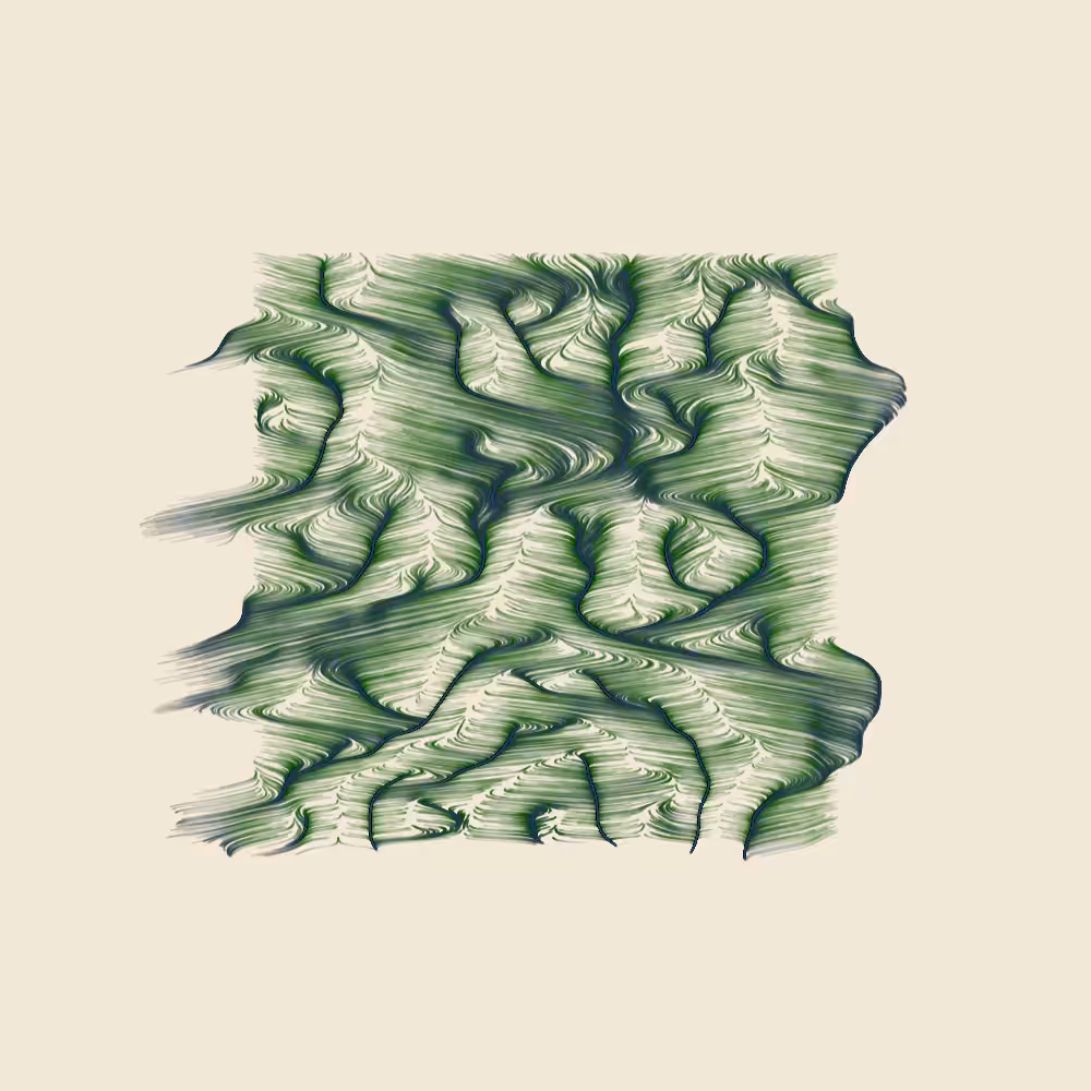 Topographic Abstraction #185