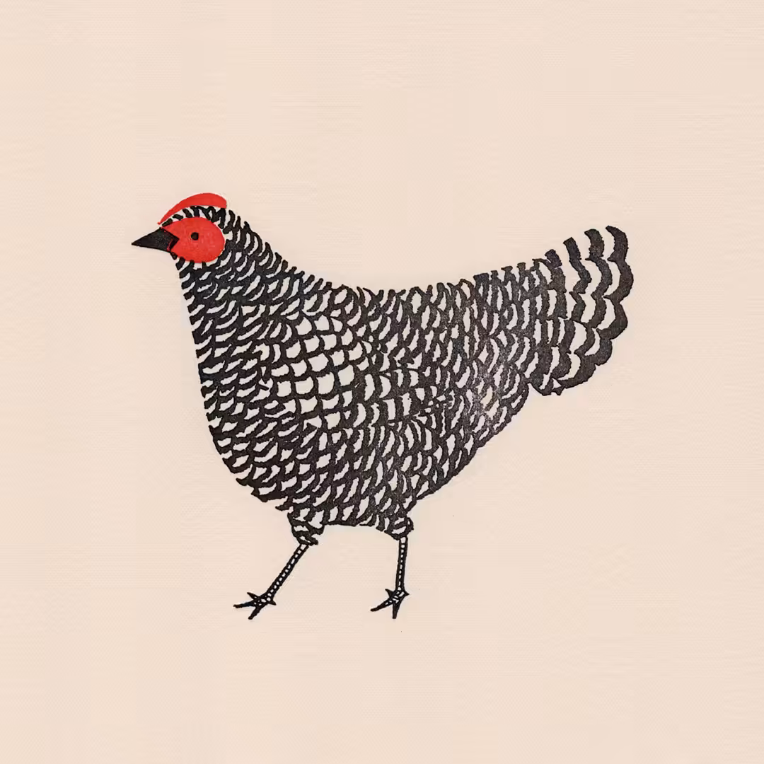 Checkerboard HEN