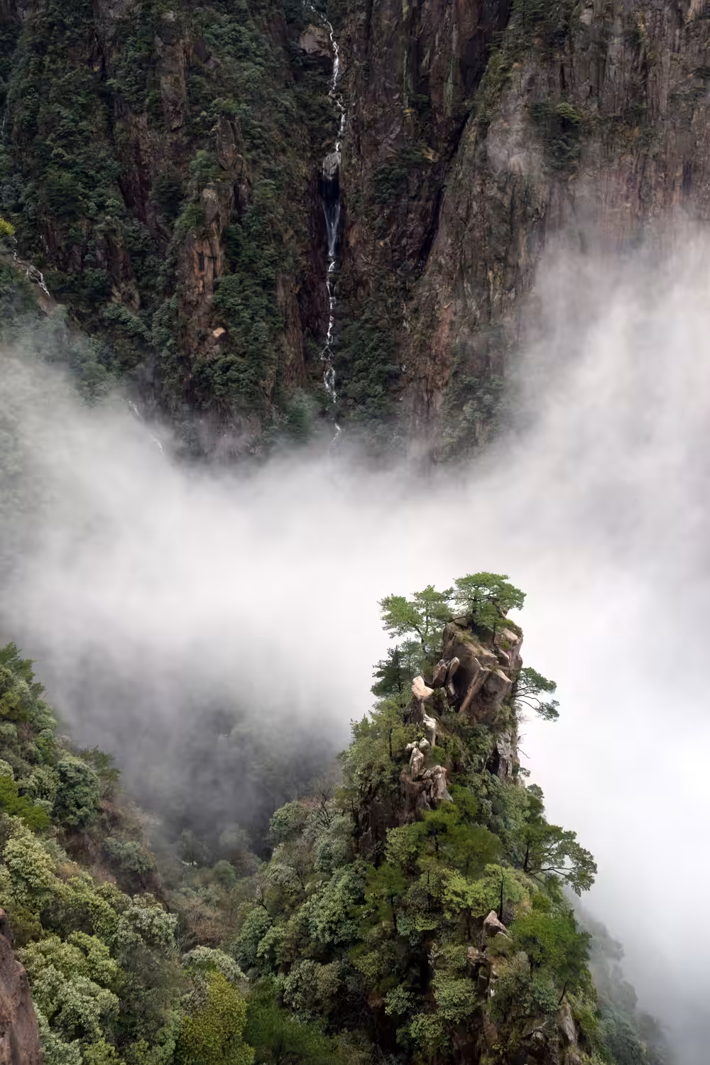 Huang Shan 黄山 08