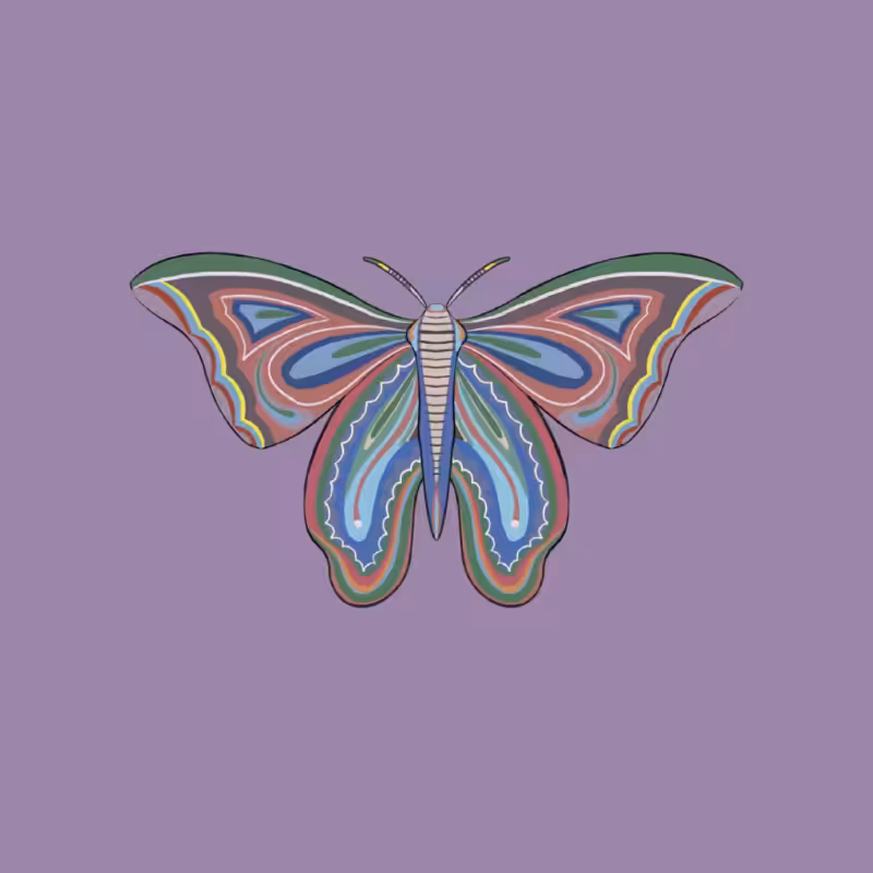 The Moth Experiment 2.0 P1 #5