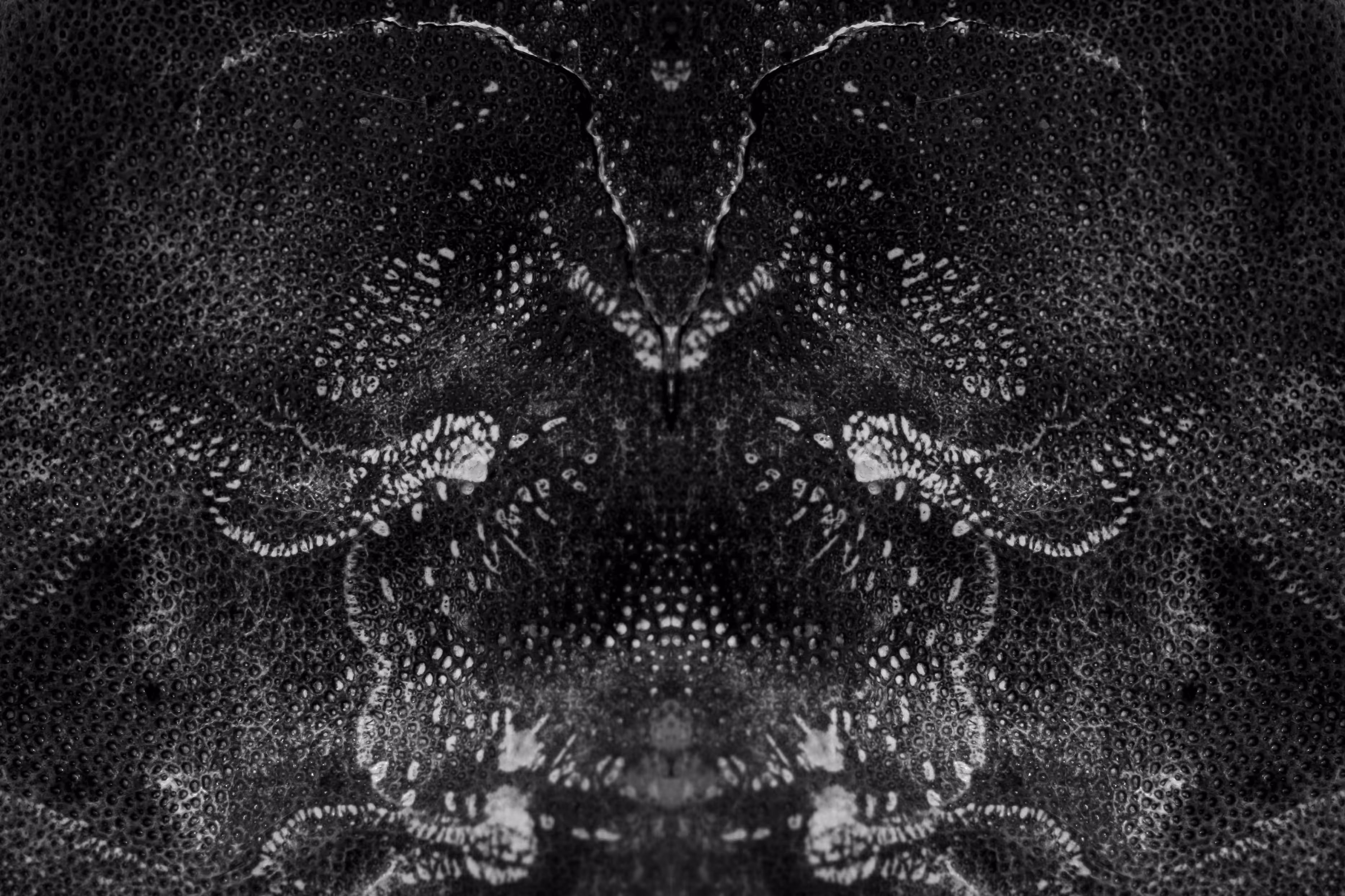 Rorschach #155