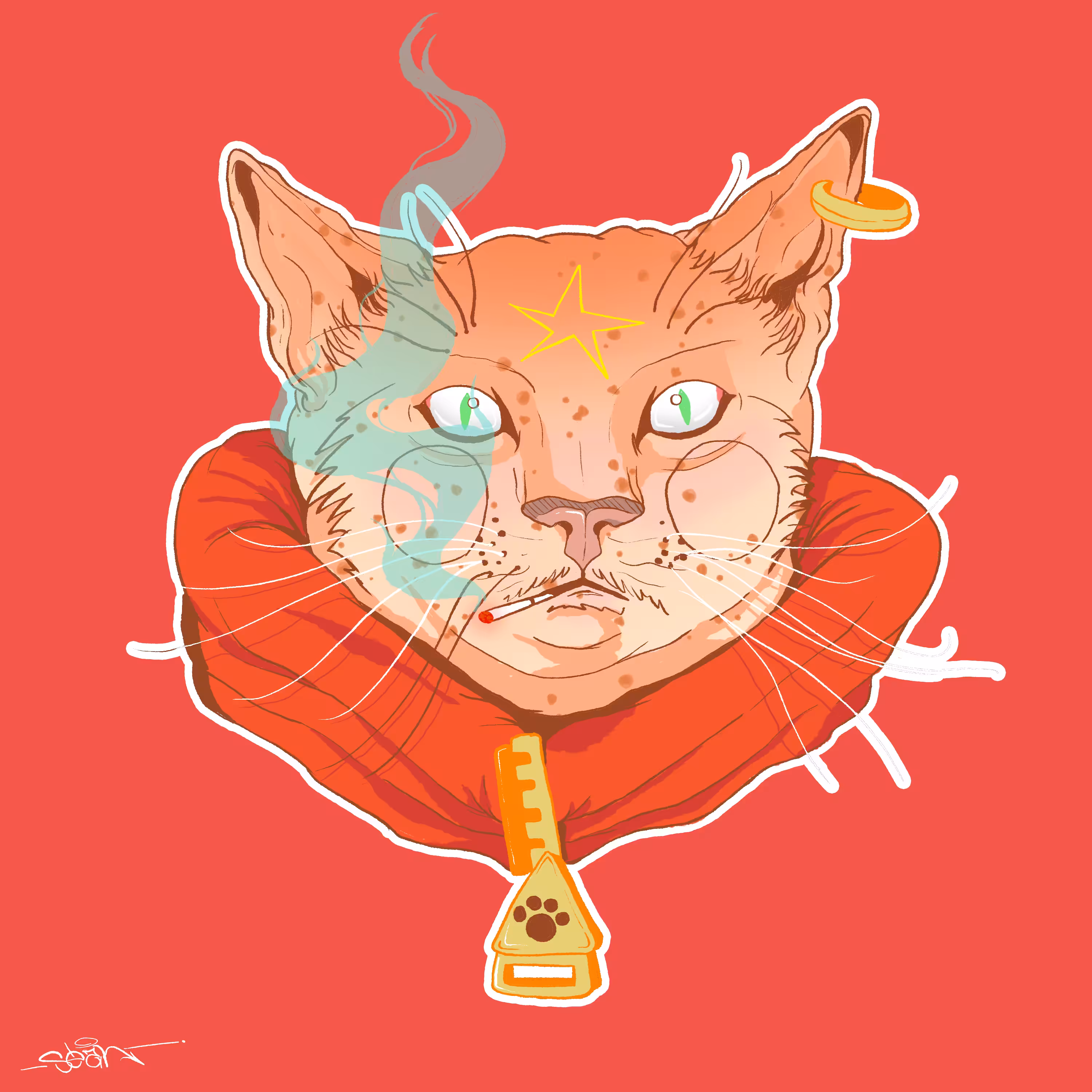 el gato