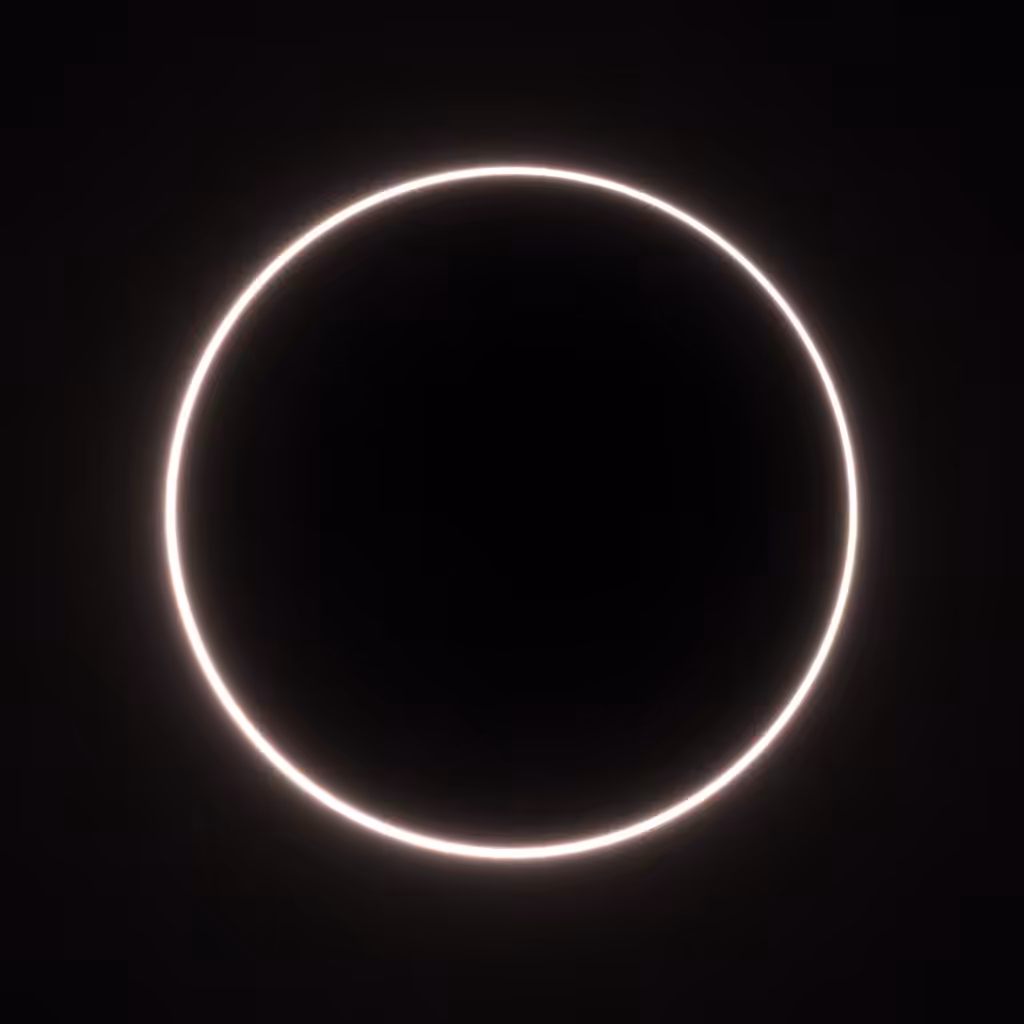 Totality #294