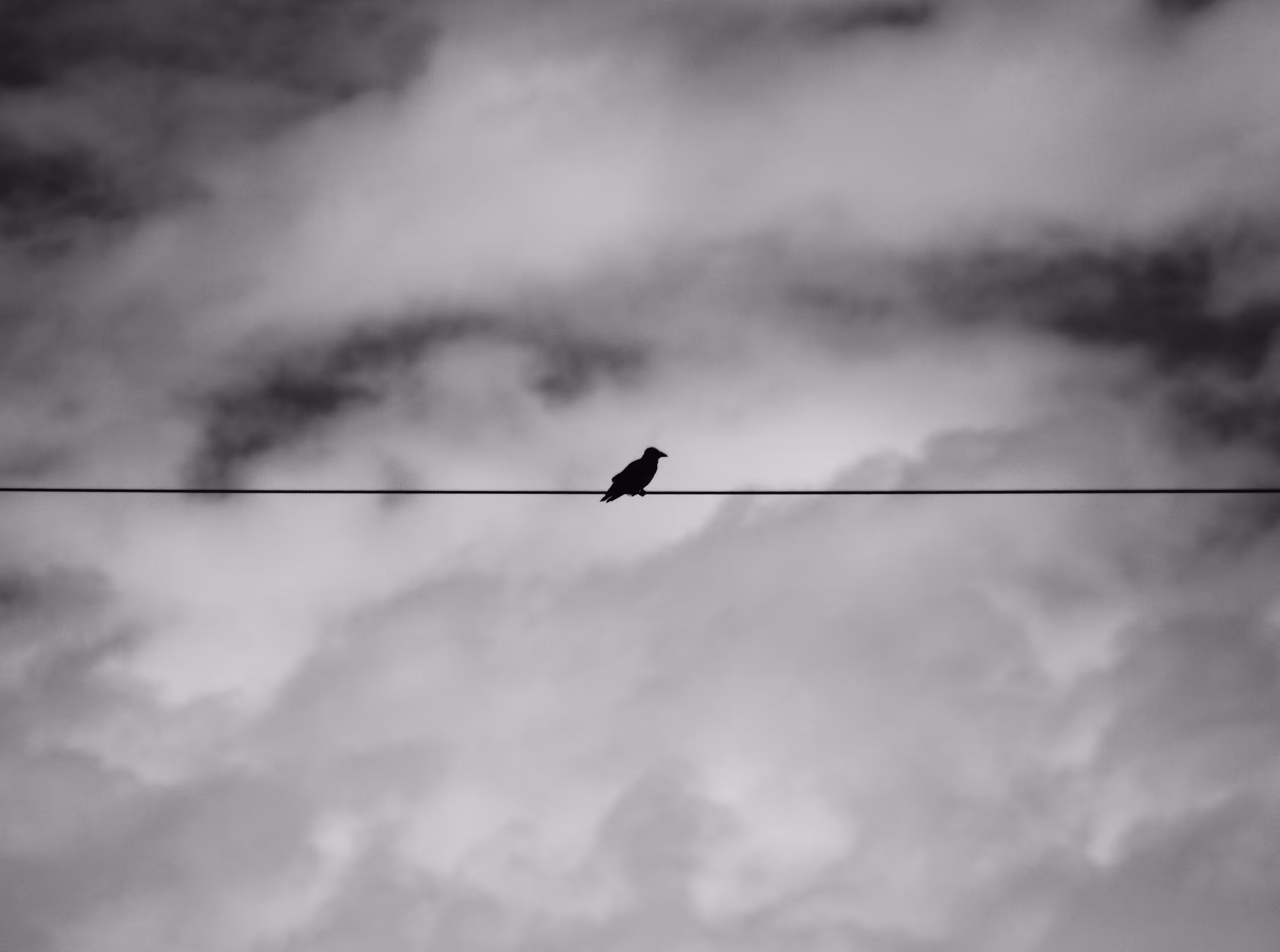 Alone on the line