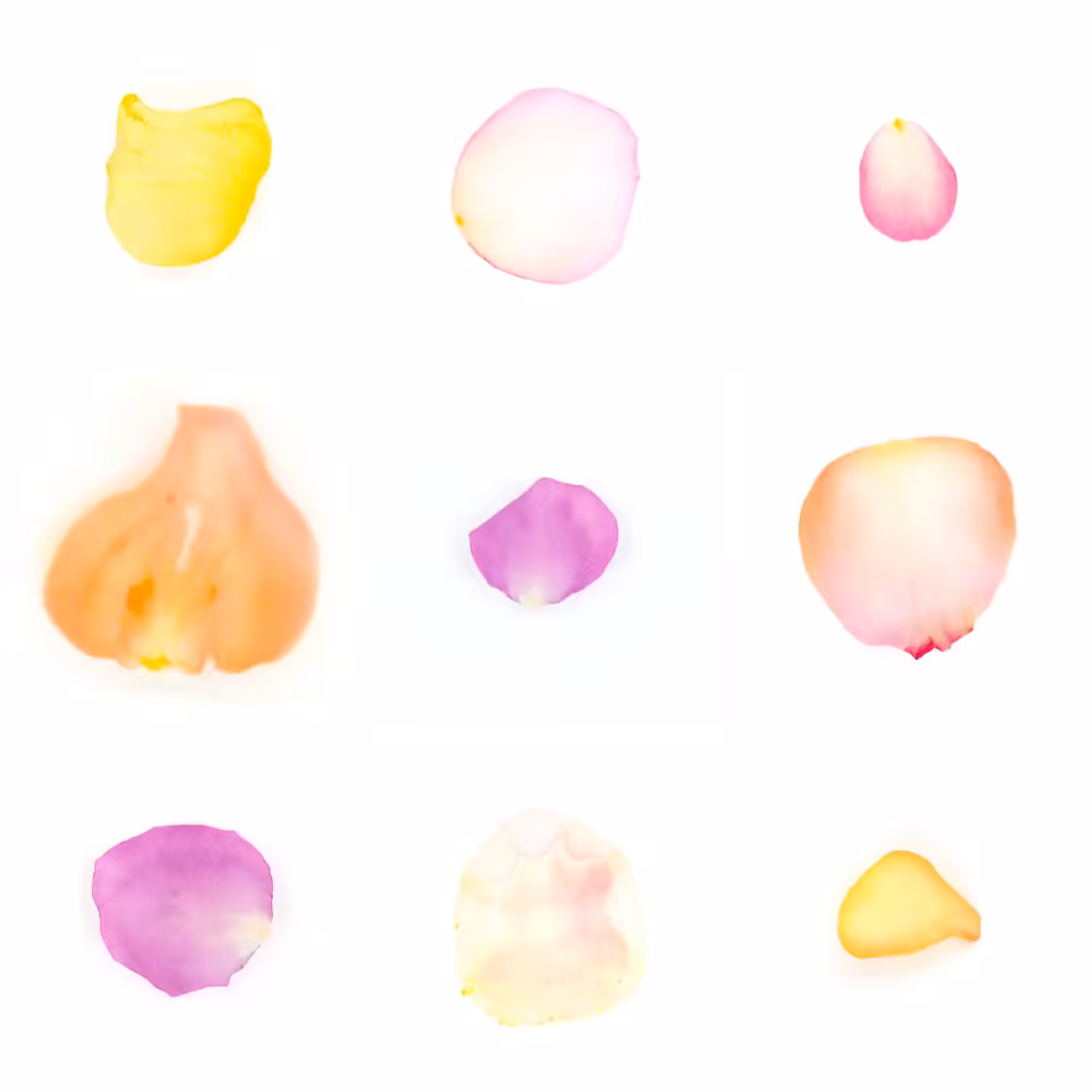 Infinite Petals 3x3#25