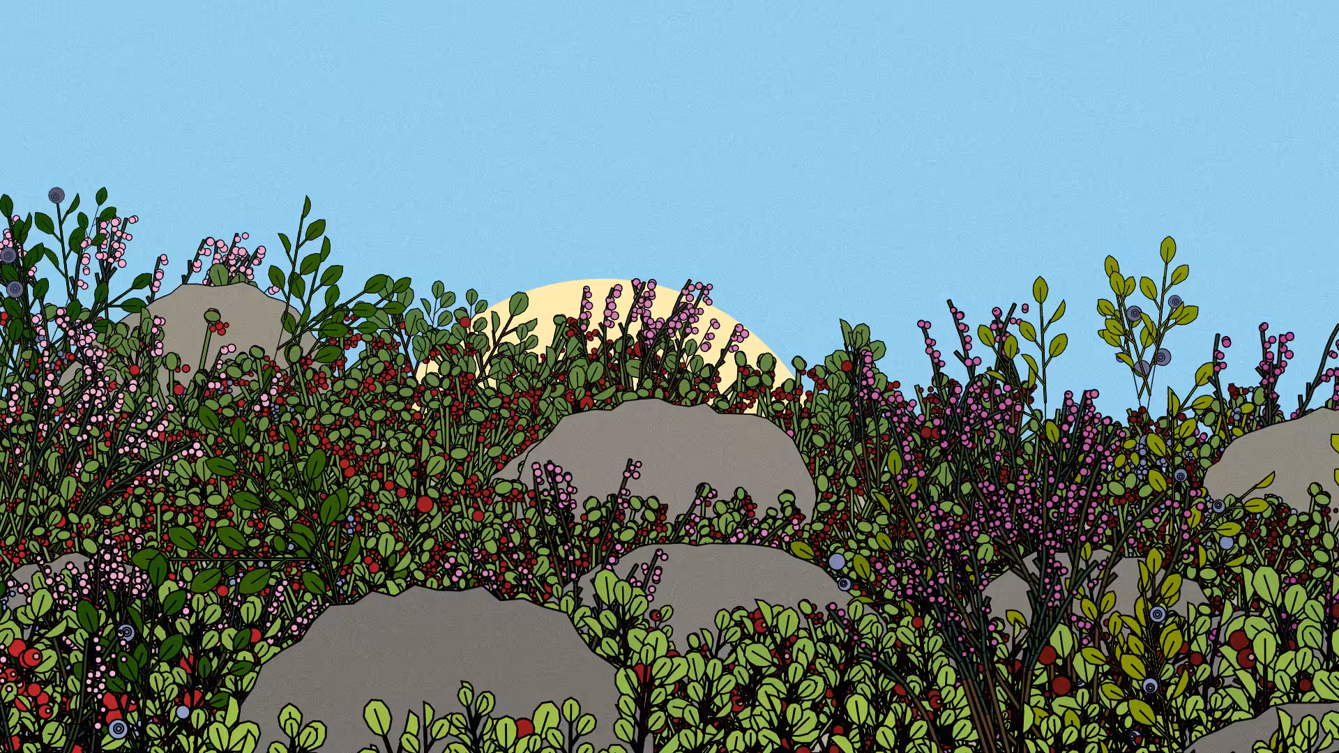 Swedish Forest #250