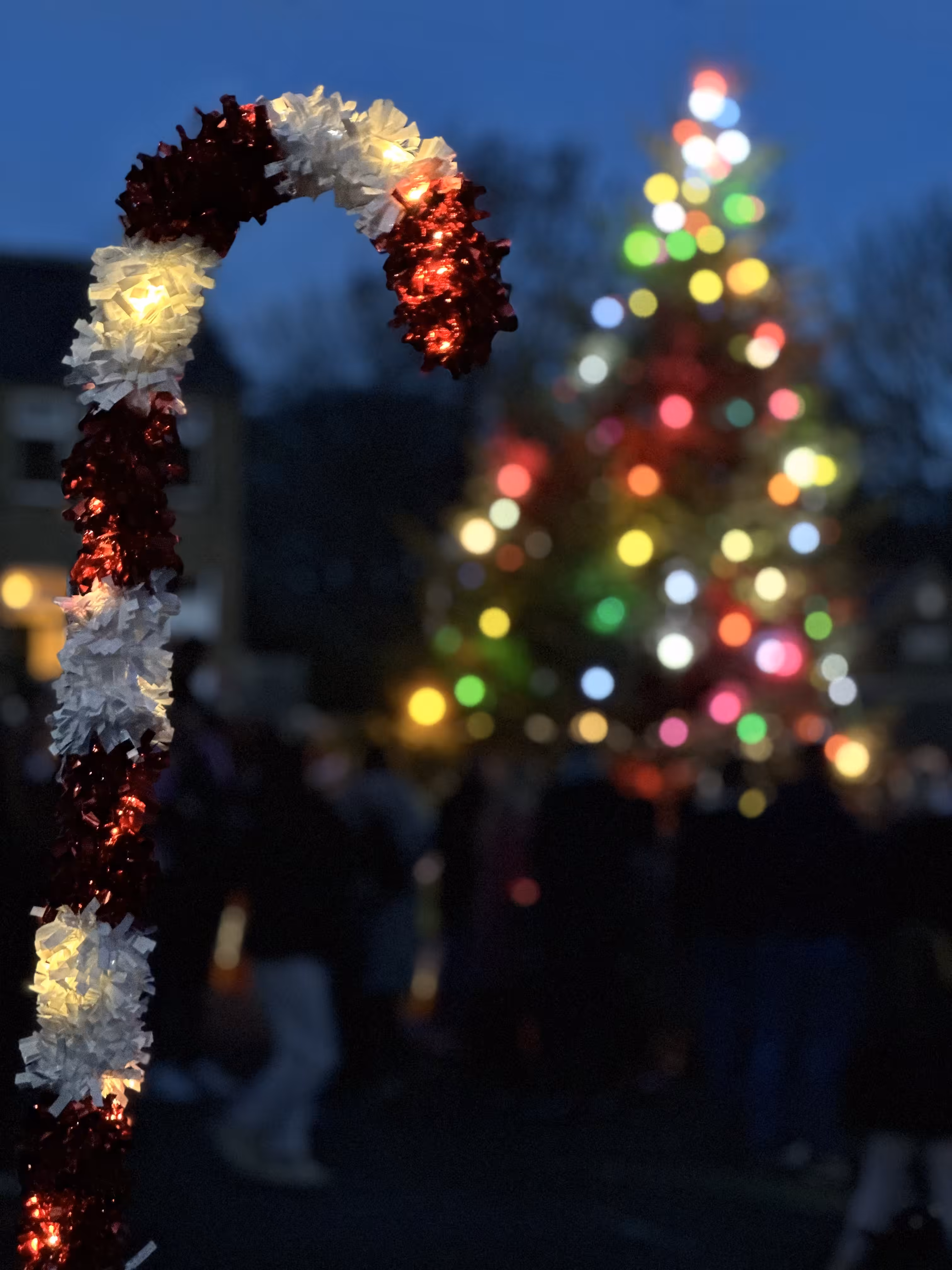 Bokeh Me Up Before You Ho-Ho
