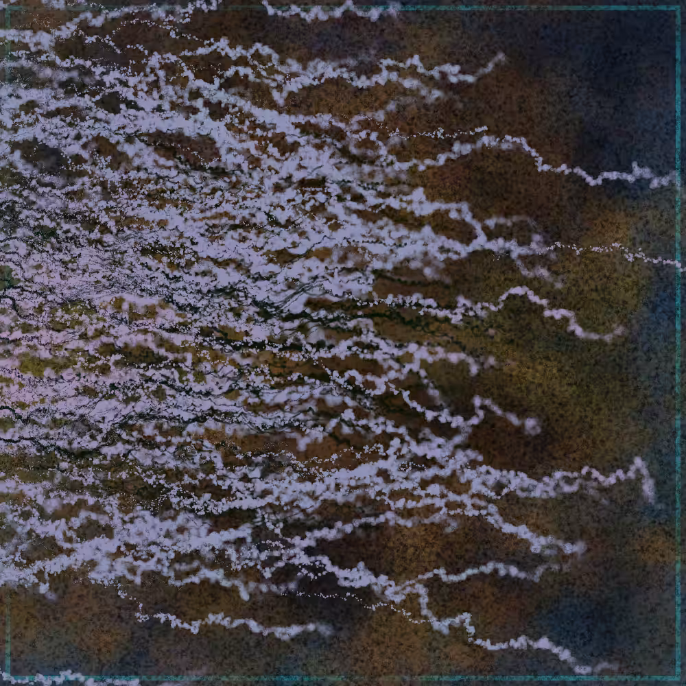 Organic #41