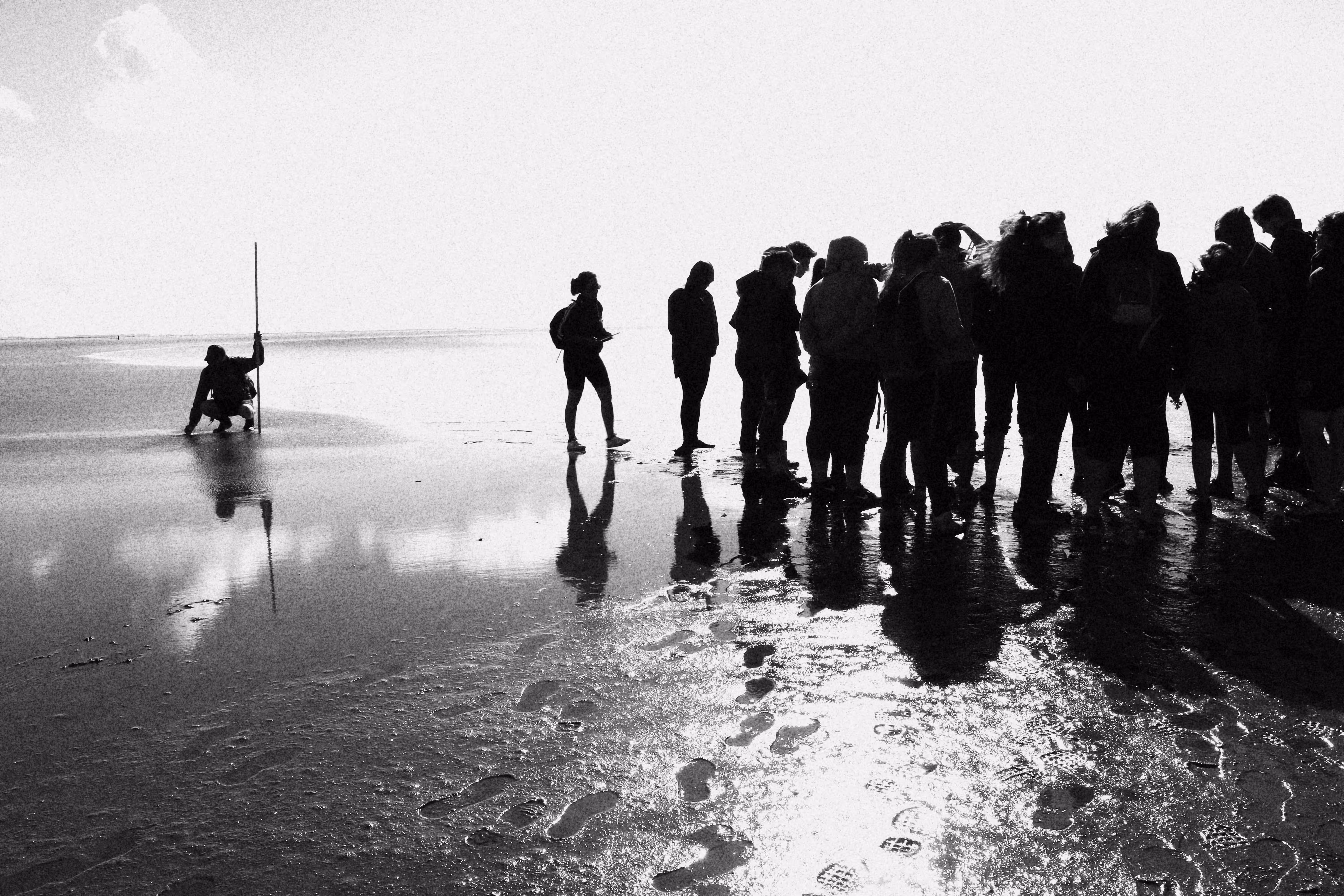 Wadlopen