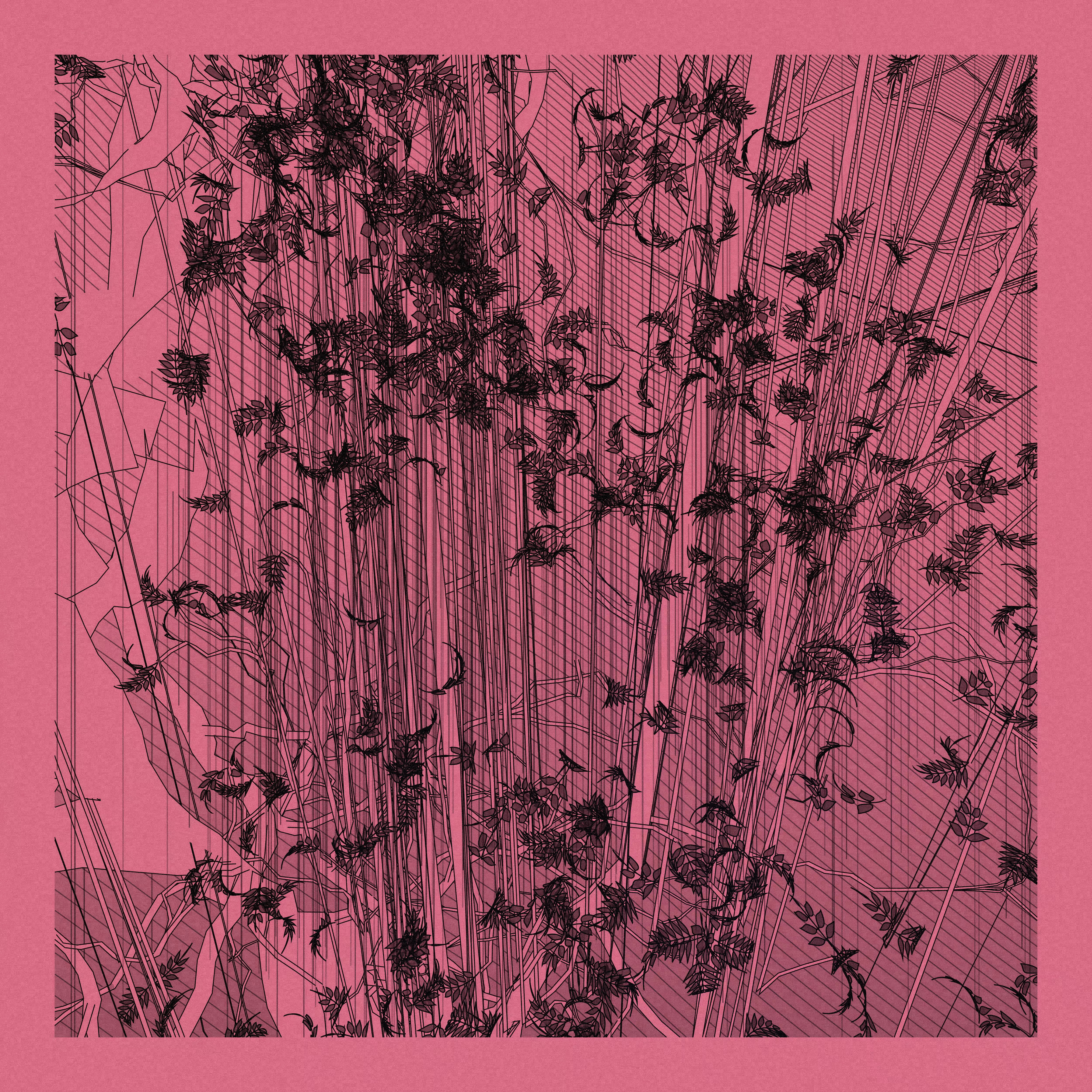 A Bugged Forest #773