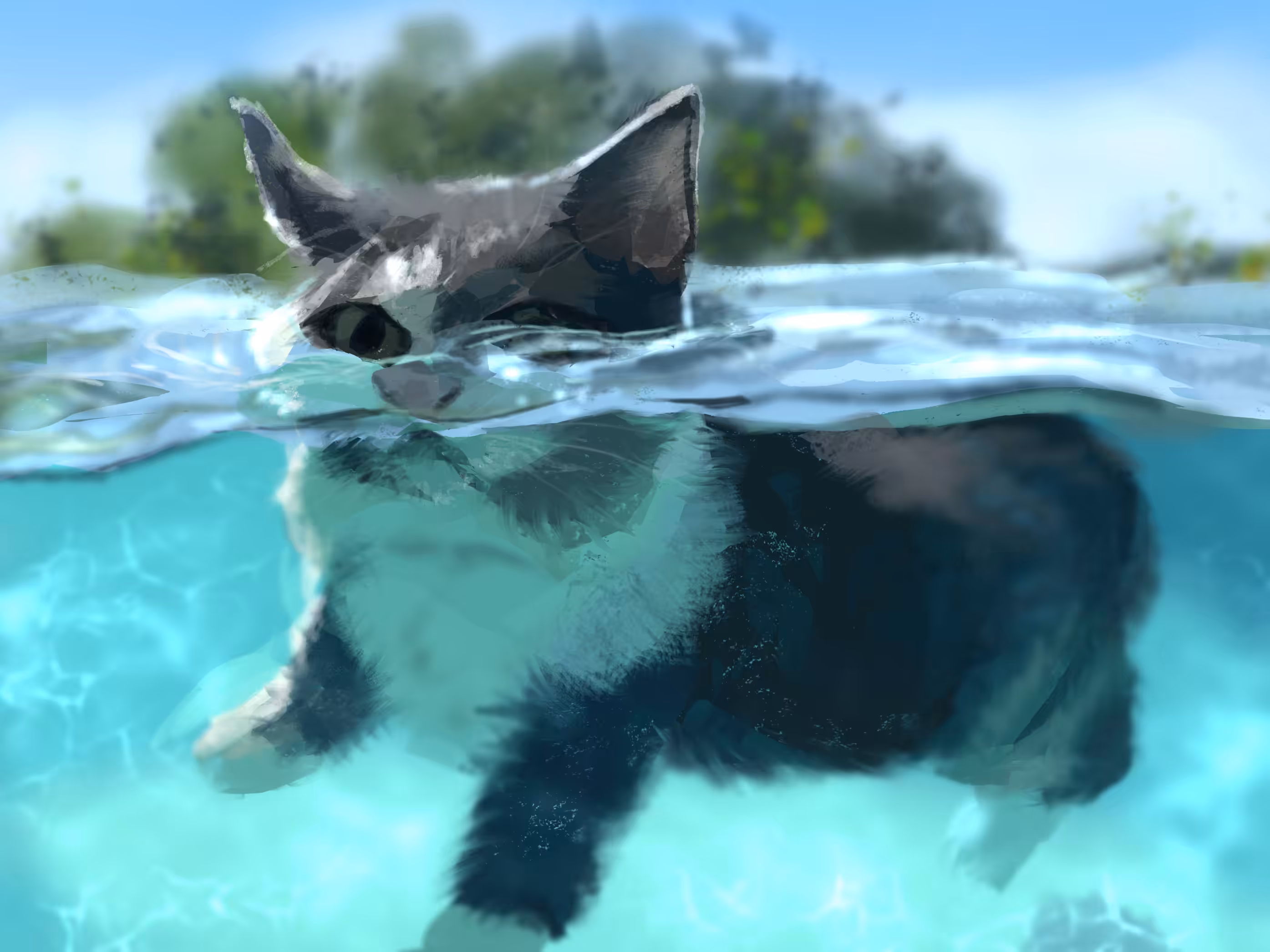 Splish Splash