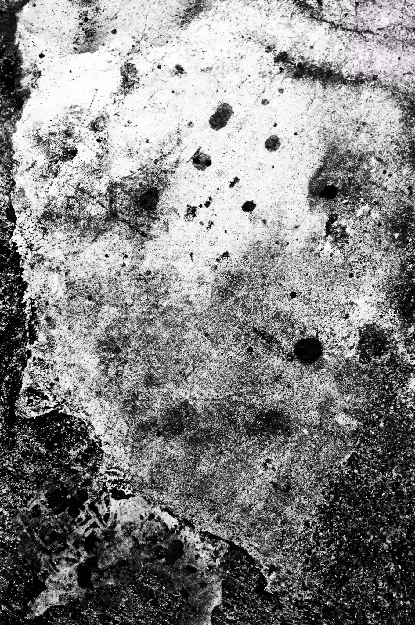 Mineral Portrait 61