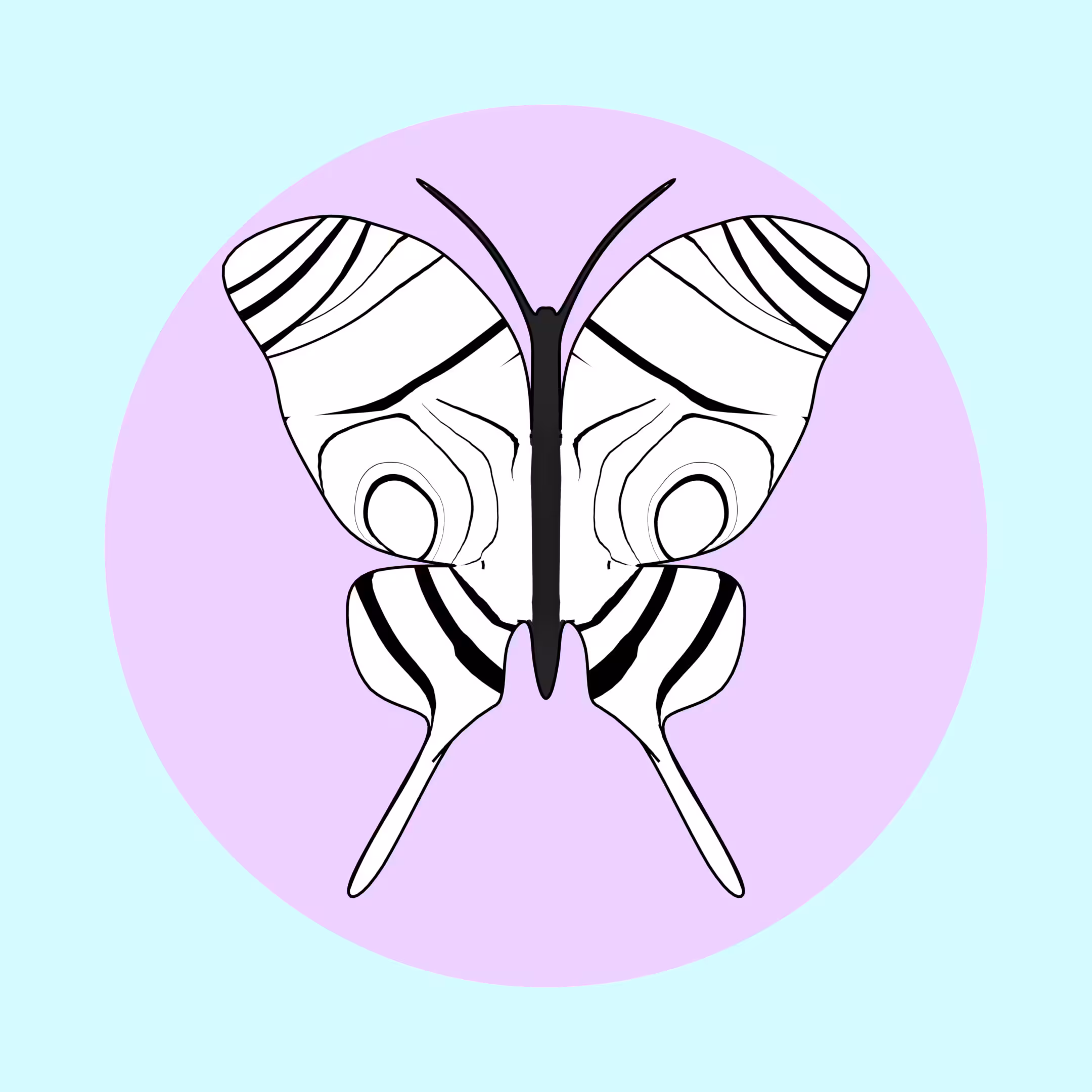 Aesthetic Butterfly #002