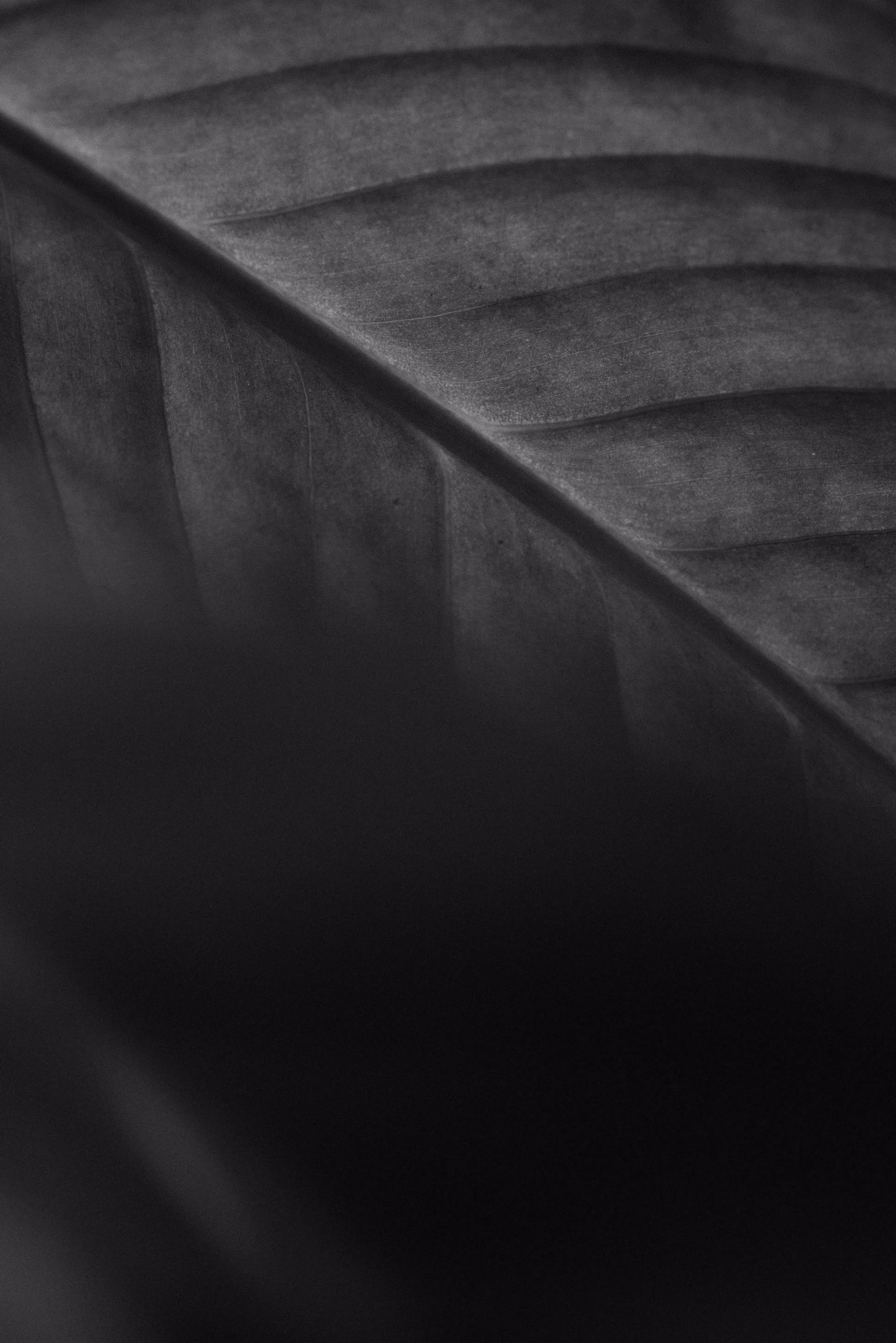 Lingering