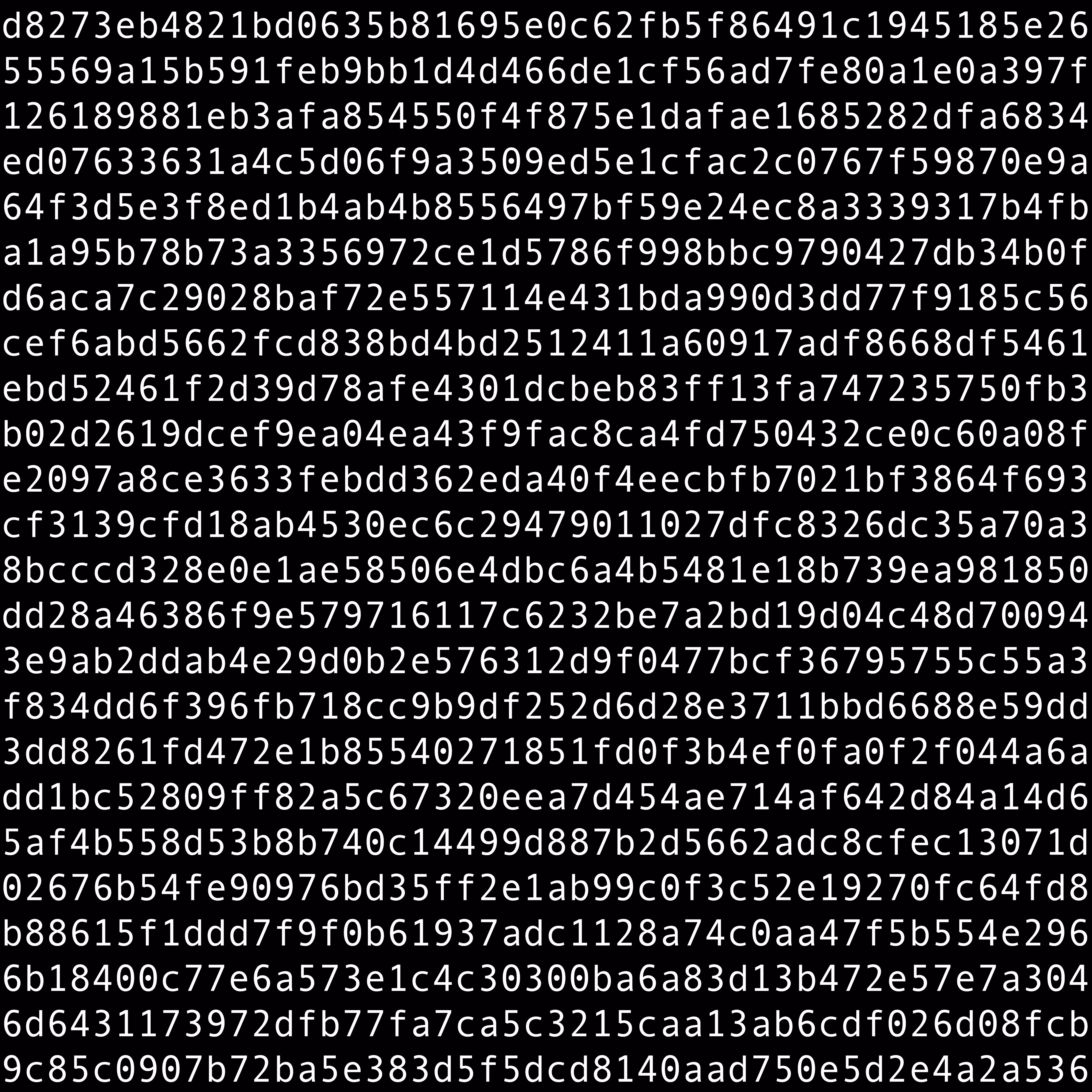 1111 #0893